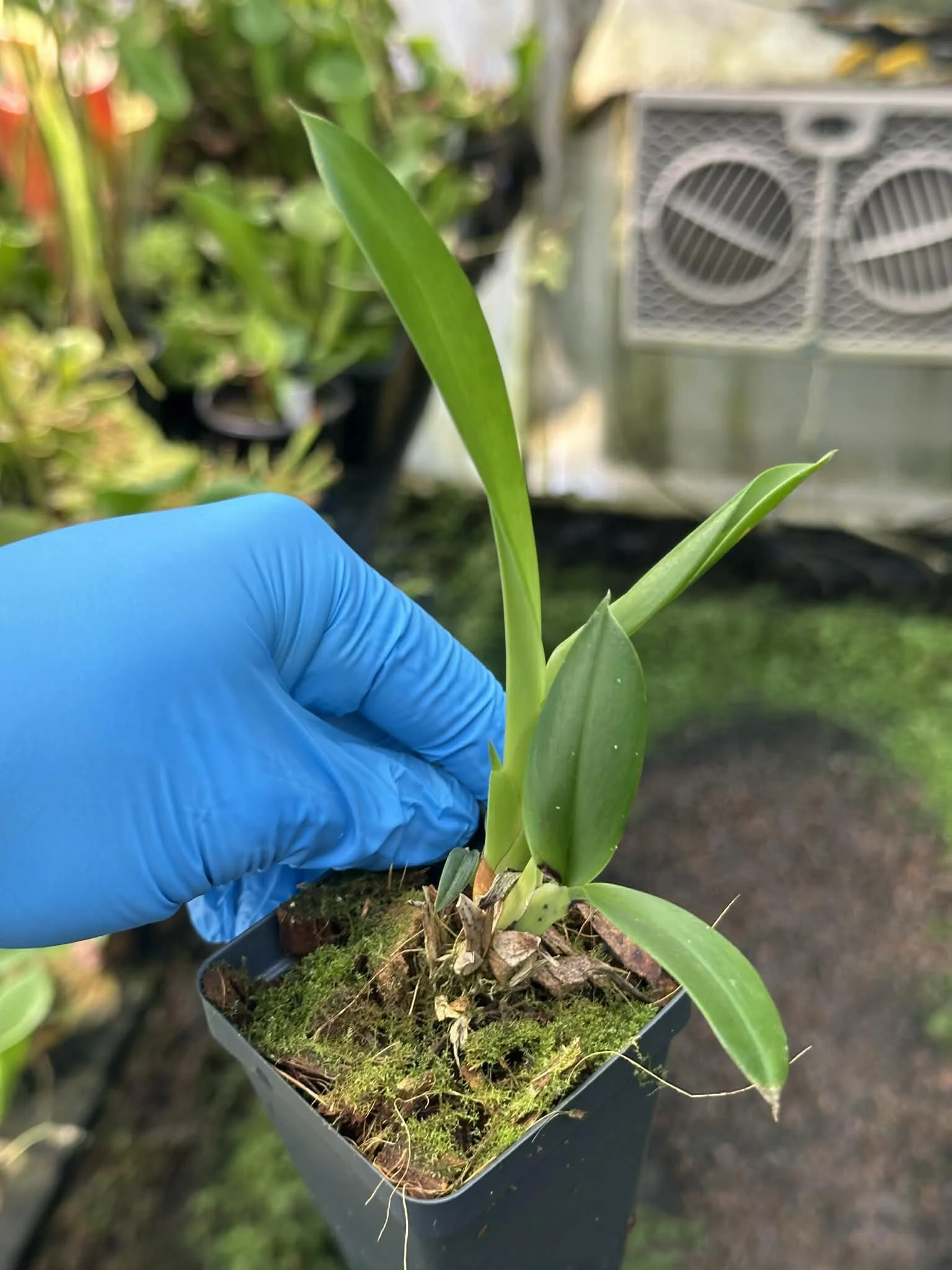 fab07c87-5b7a-4913-820a-c7dd49e9ba40.jfif