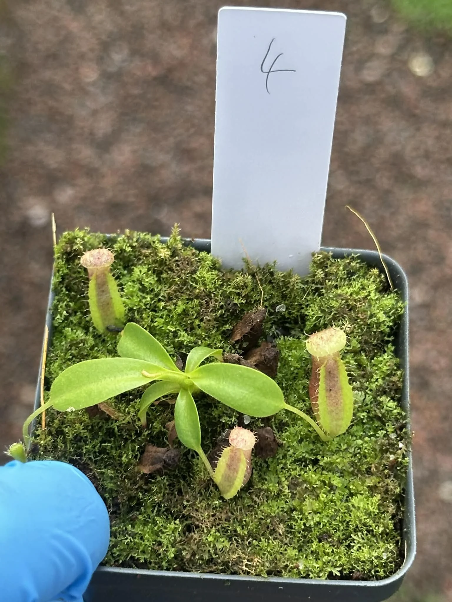 27d3cf5a-2249-469f-b6f7-2376b1accceb.jfif