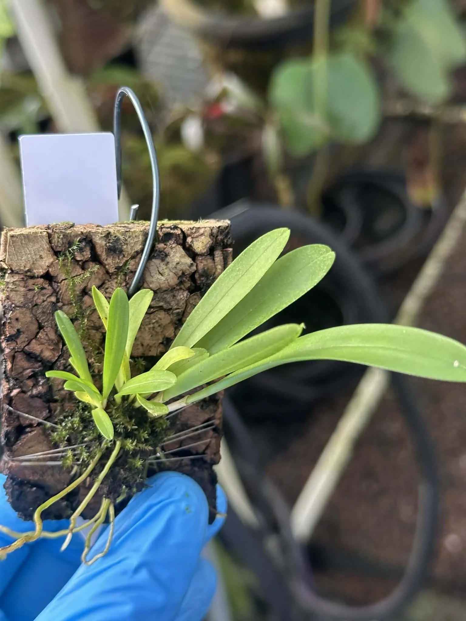 b9075993-3930-4fd7-b9bb-b8f84b3363ab.jfif