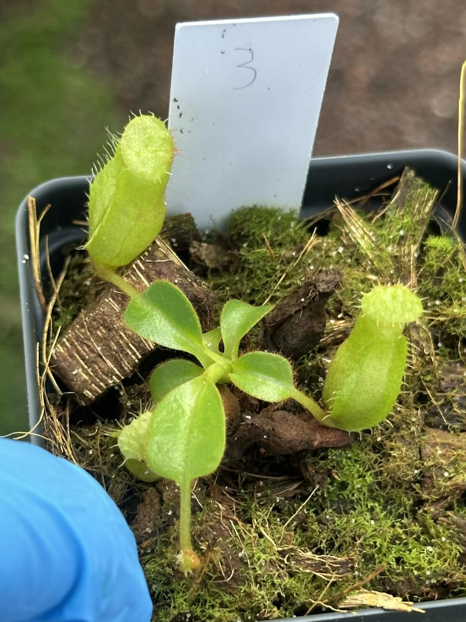 631c6abb-bf9a-4e89-9507-53f8f071588e.jfif