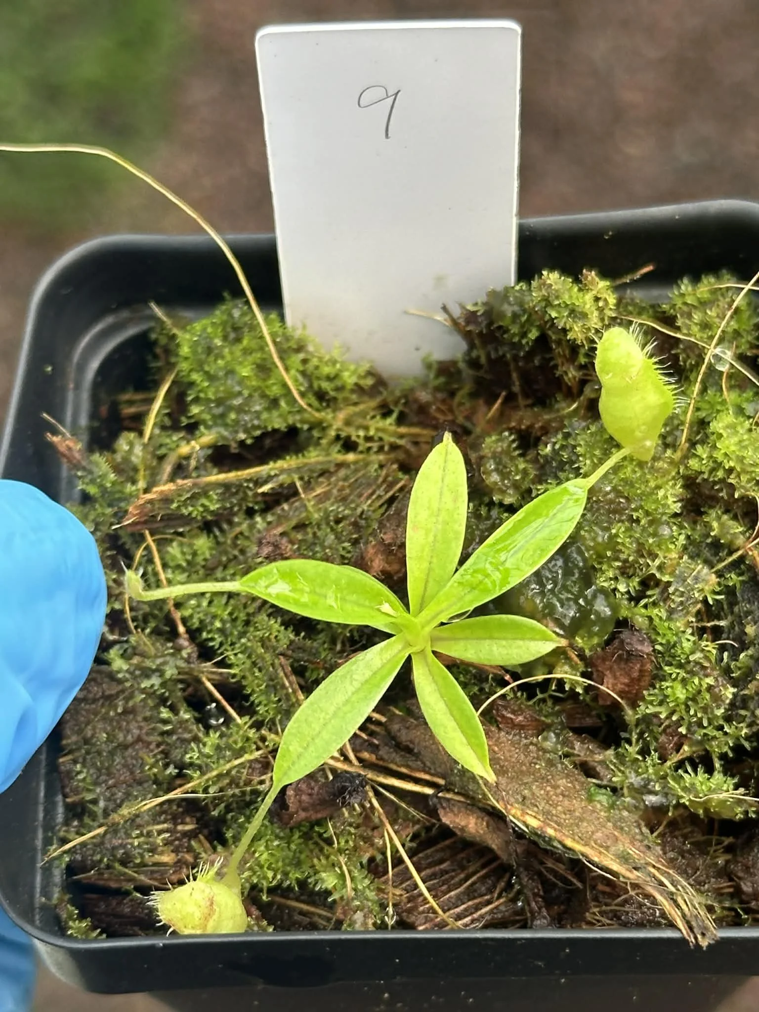 5fb199fb-f2ef-4e31-ac16-7a193ae63d12.jfif