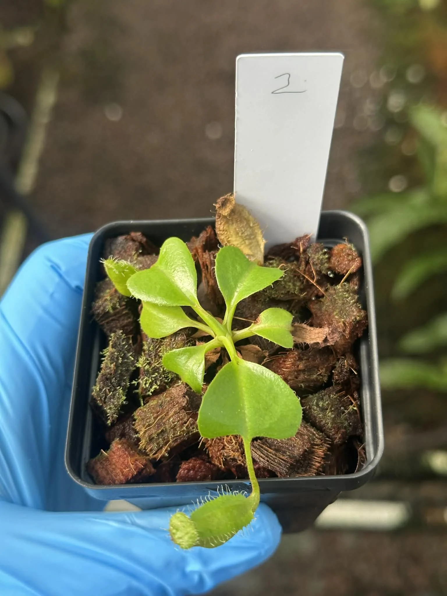 1bb178cf-e072-45f3-8780-521f915aa78d.jfif