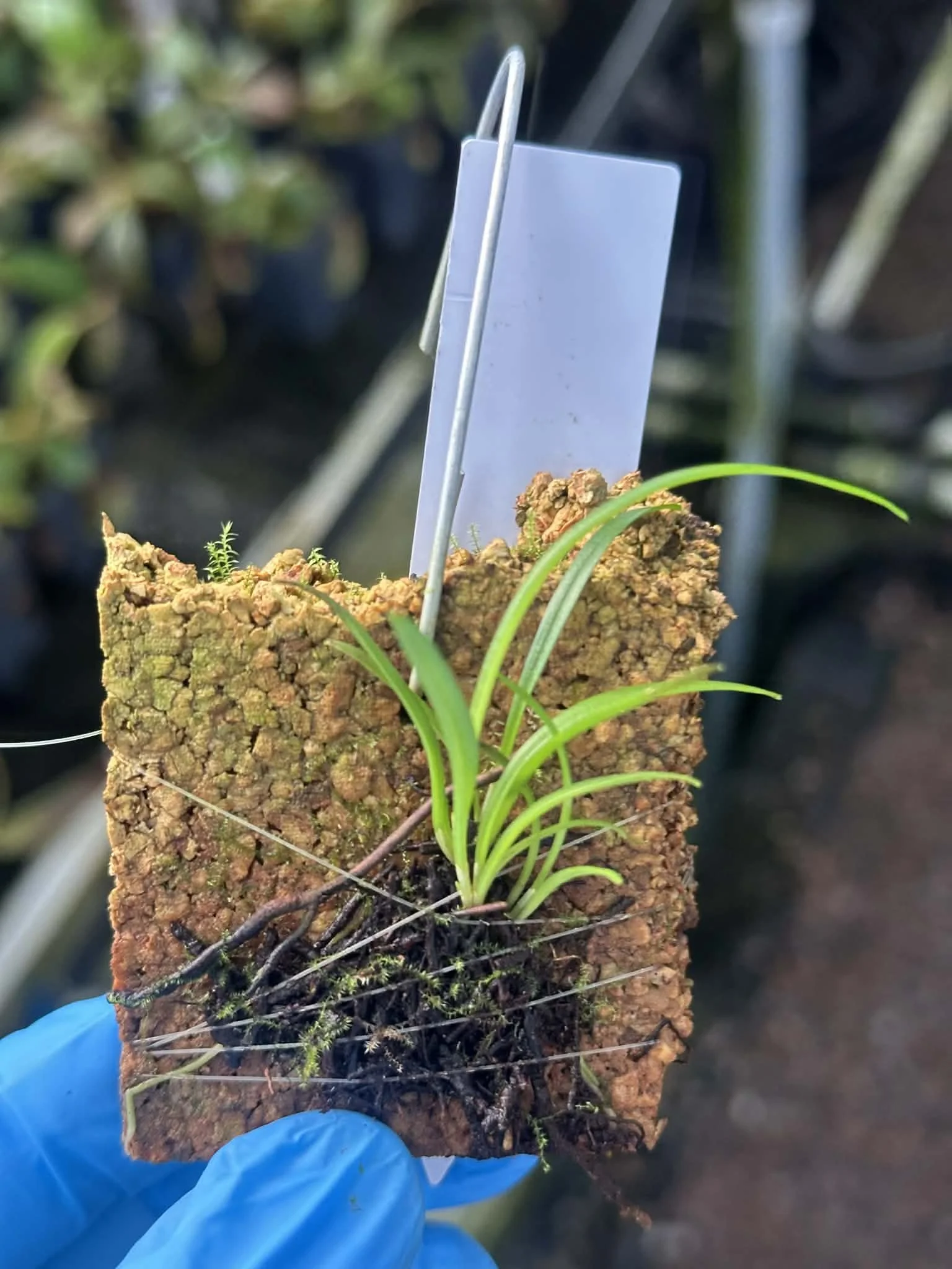 5237675d-435b-49dc-b703-ec84e76692e7.jfif