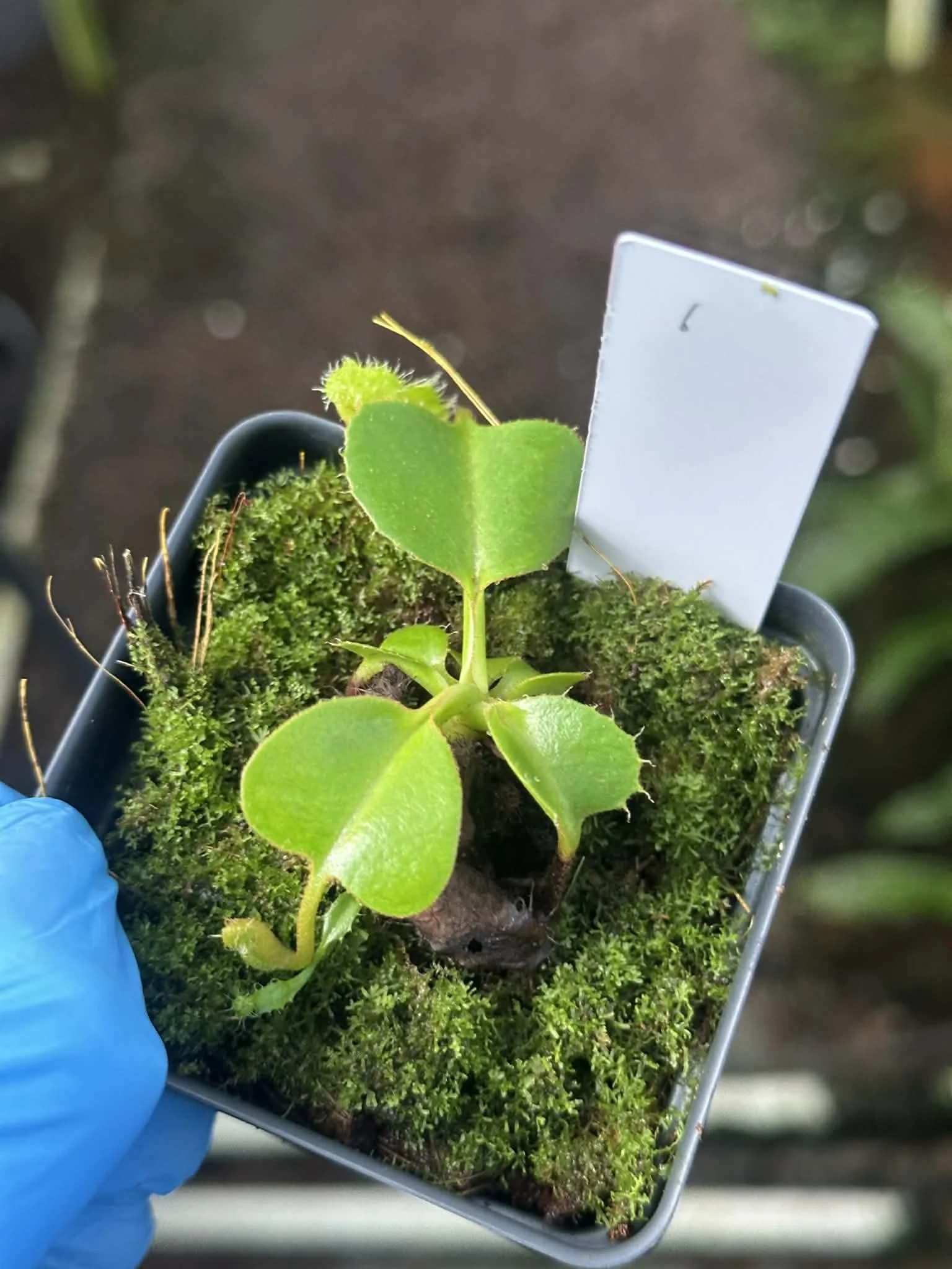 cb642c19-4f09-47ca-9c15-e28330840afb.jfif