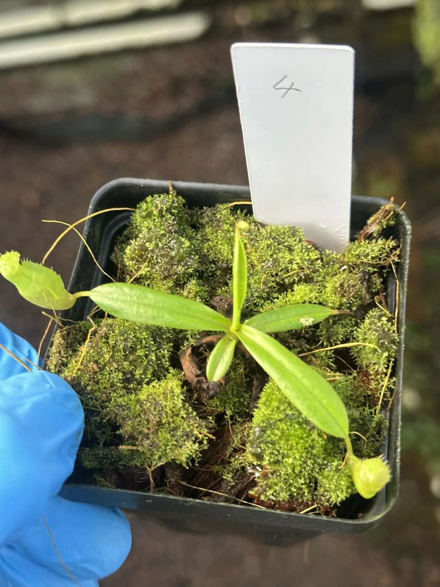 195bbc58-37e7-4d5b-963e-0c8ec7b6b182.jfif