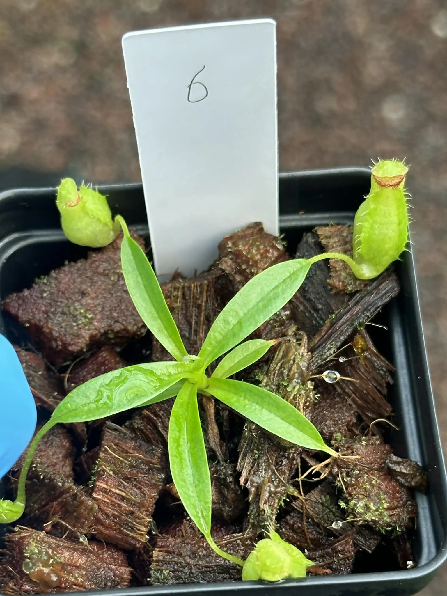 bcfff2d3-d33c-4287-b918-e6cbd50a899d.jfif