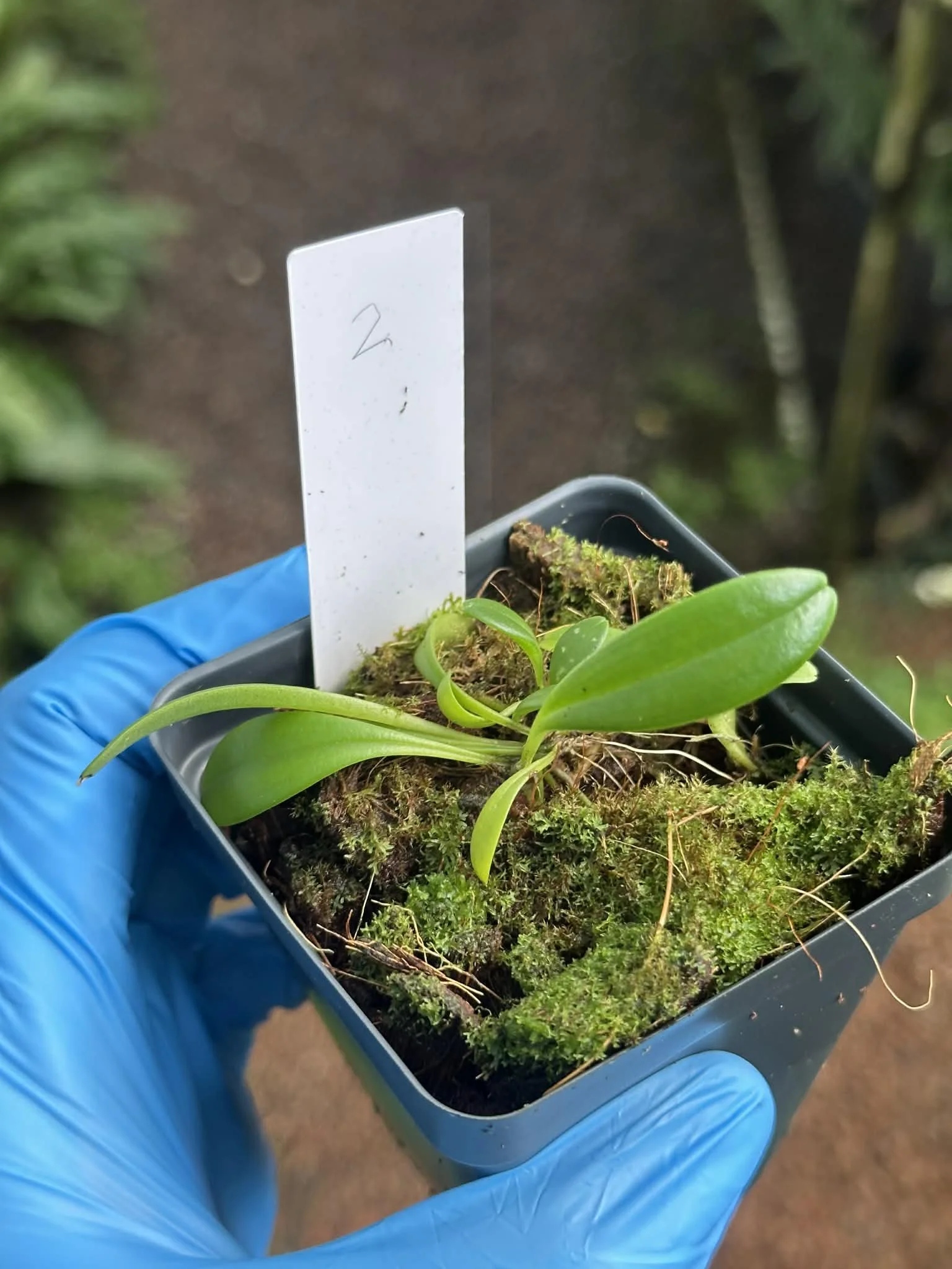 766e6119-26f2-4ec7-94df-3c6506d0bae5.jfif