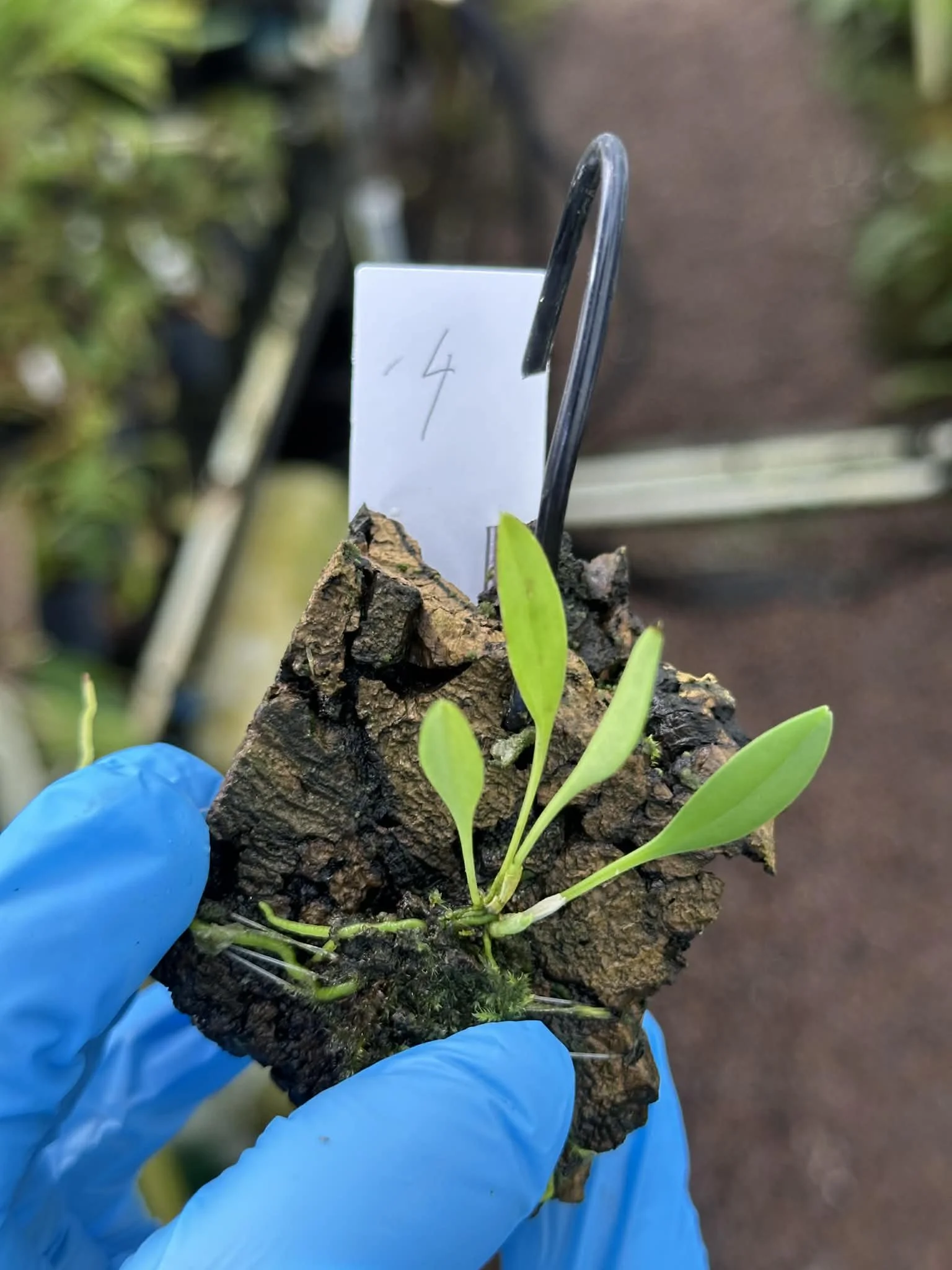 88420884-303a-435c-a137-0ace2dc9e974.jfif