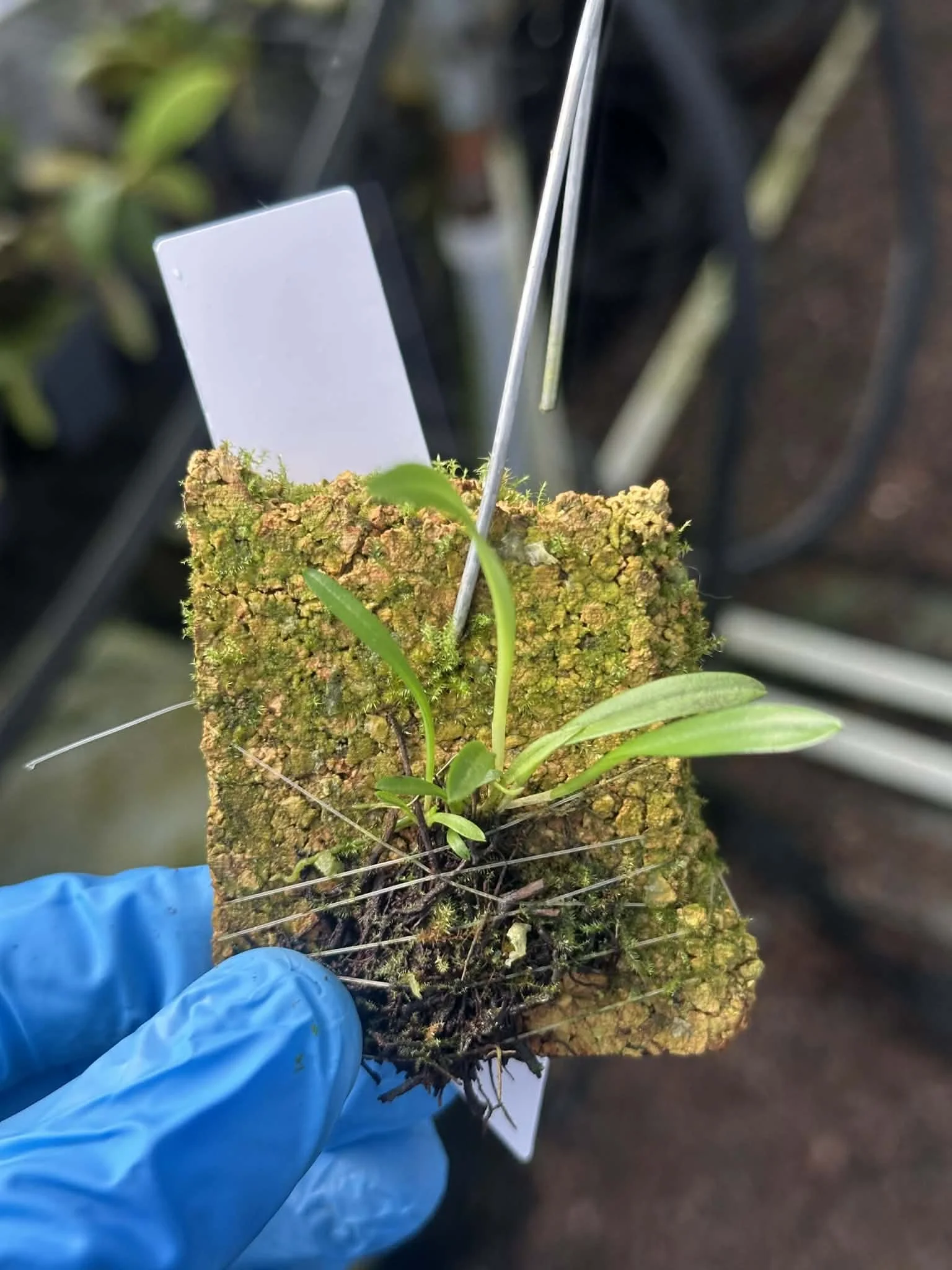 8c64d518-539d-43b3-bf77-ba4e6d49def4.jfif