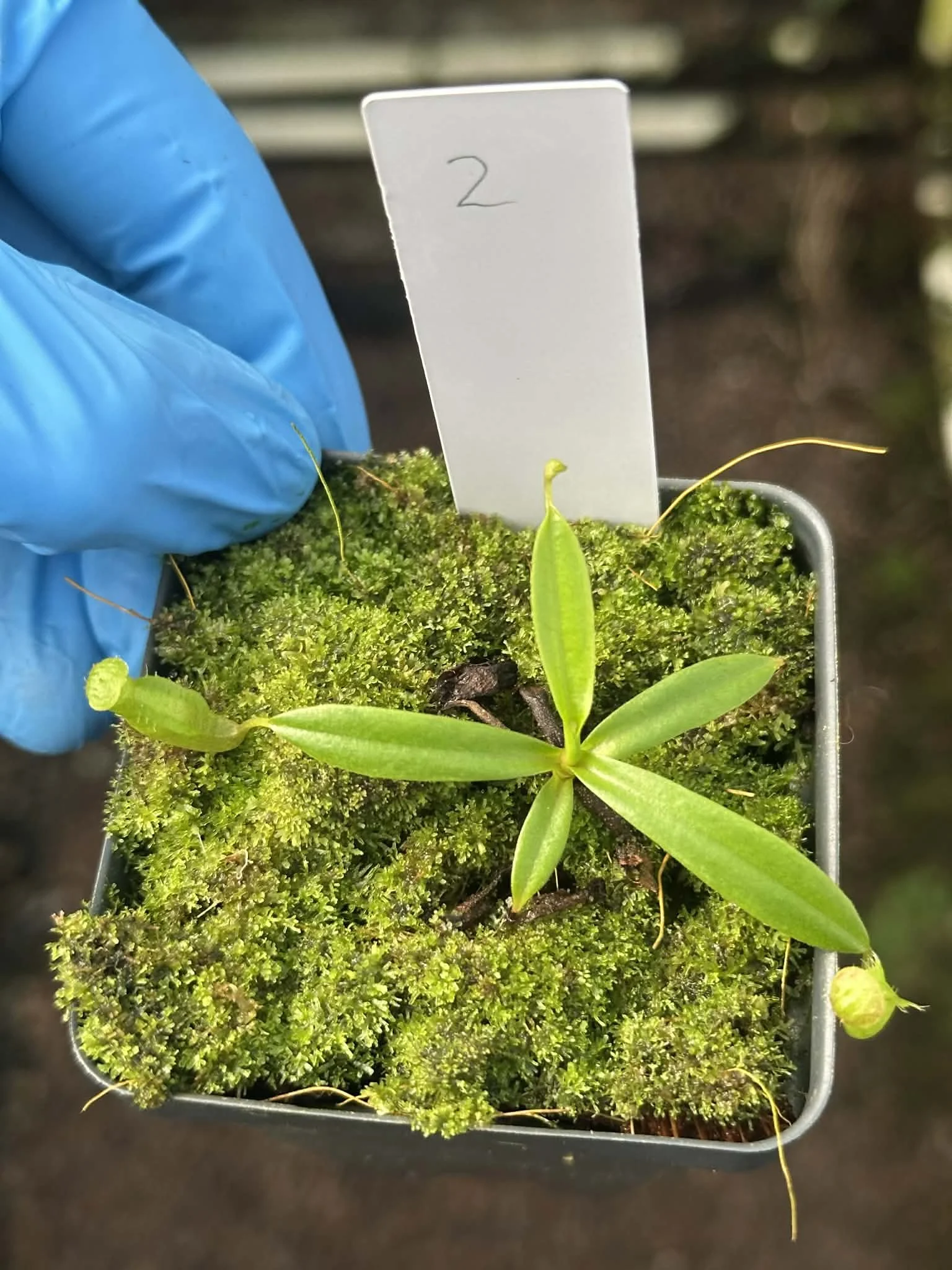 3938f38a-fa99-46b1-9bc6-748512f126e5.jfif