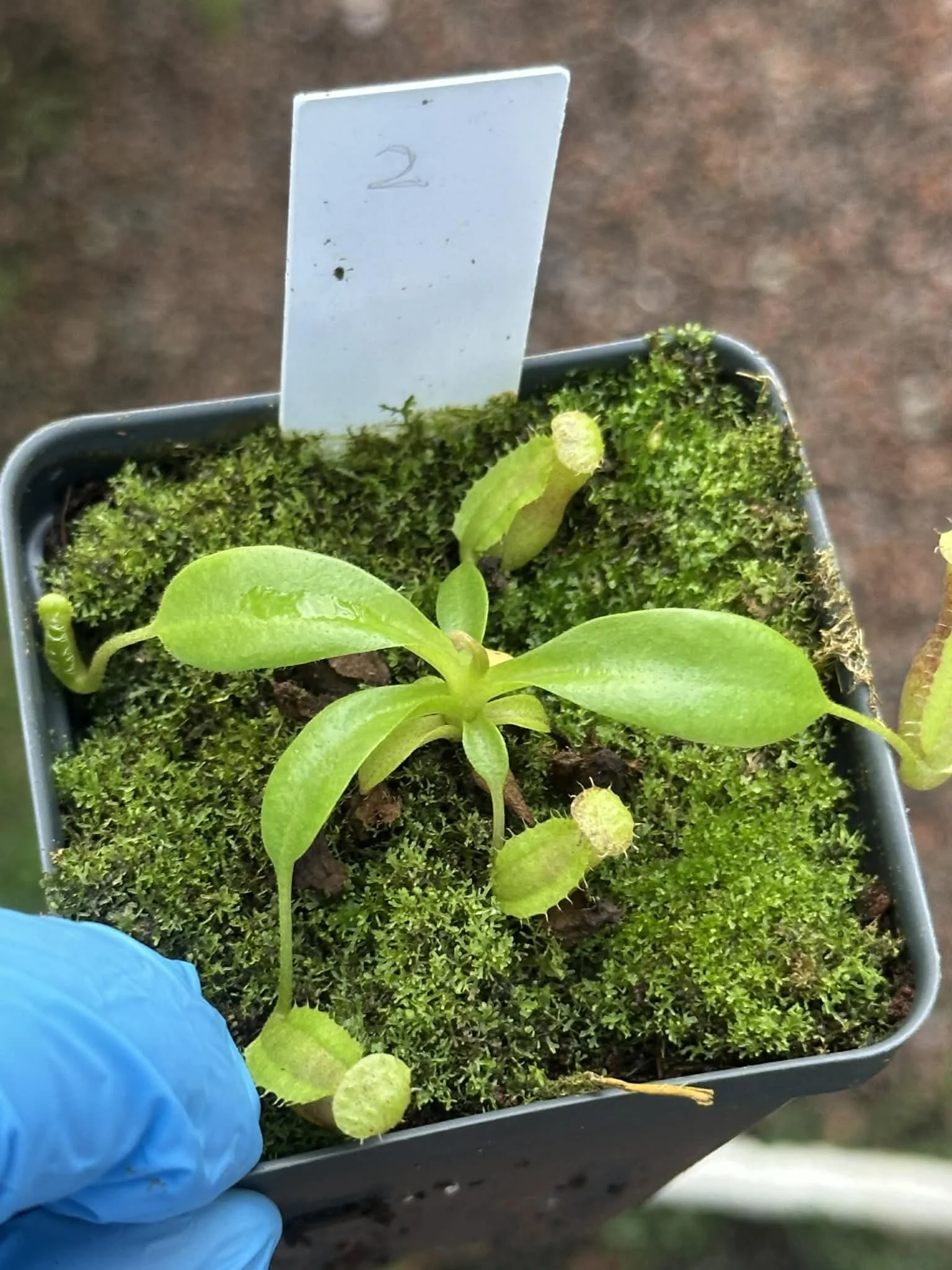 42488d20-ae38-42e2-a93e-d40ea4eb5ffb.jfif