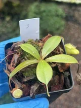 s494405247498884297_p314_i2_w1536 (1).webp