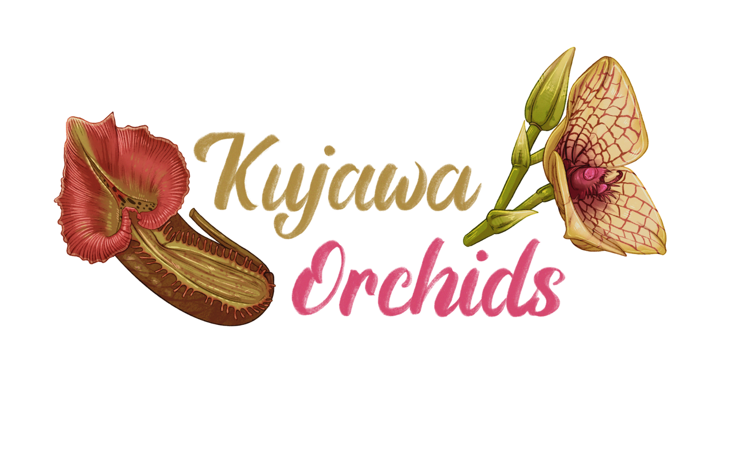 KujawaOrchids