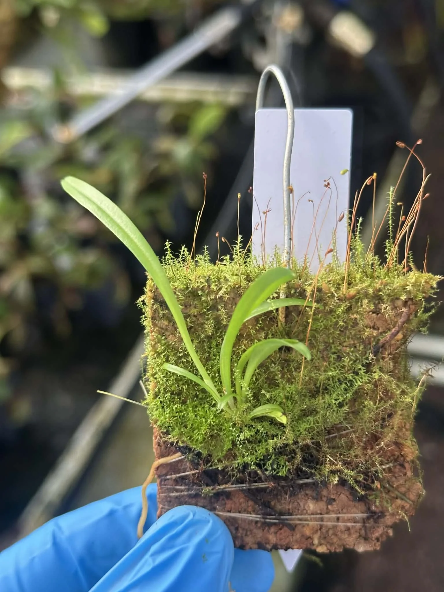 59b9f76f-a79a-4f46-a6f9-394c5006a40e.jfif