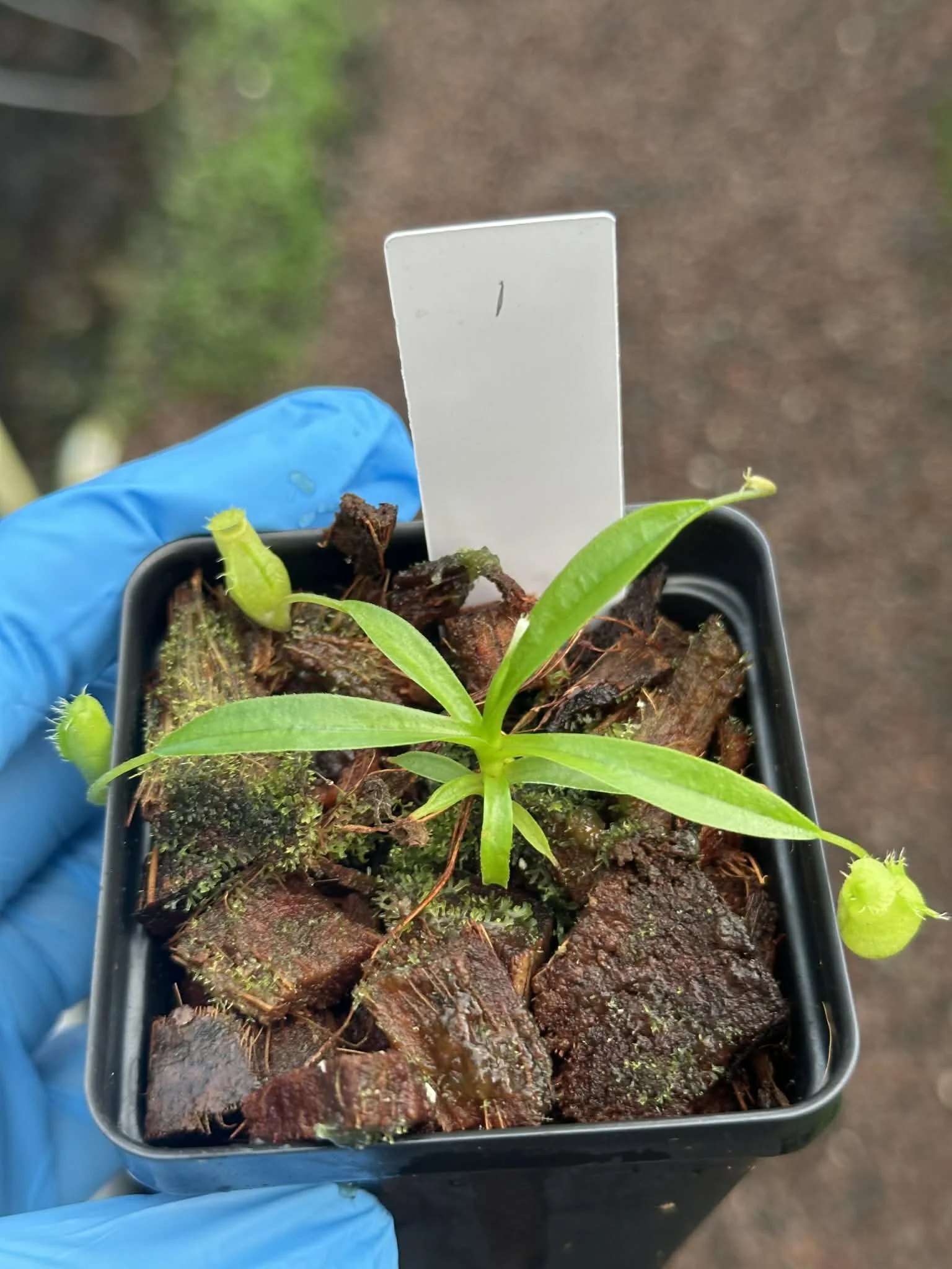 0563ca84-02c8-45c7-b657-f5505ed9dd26.jfif