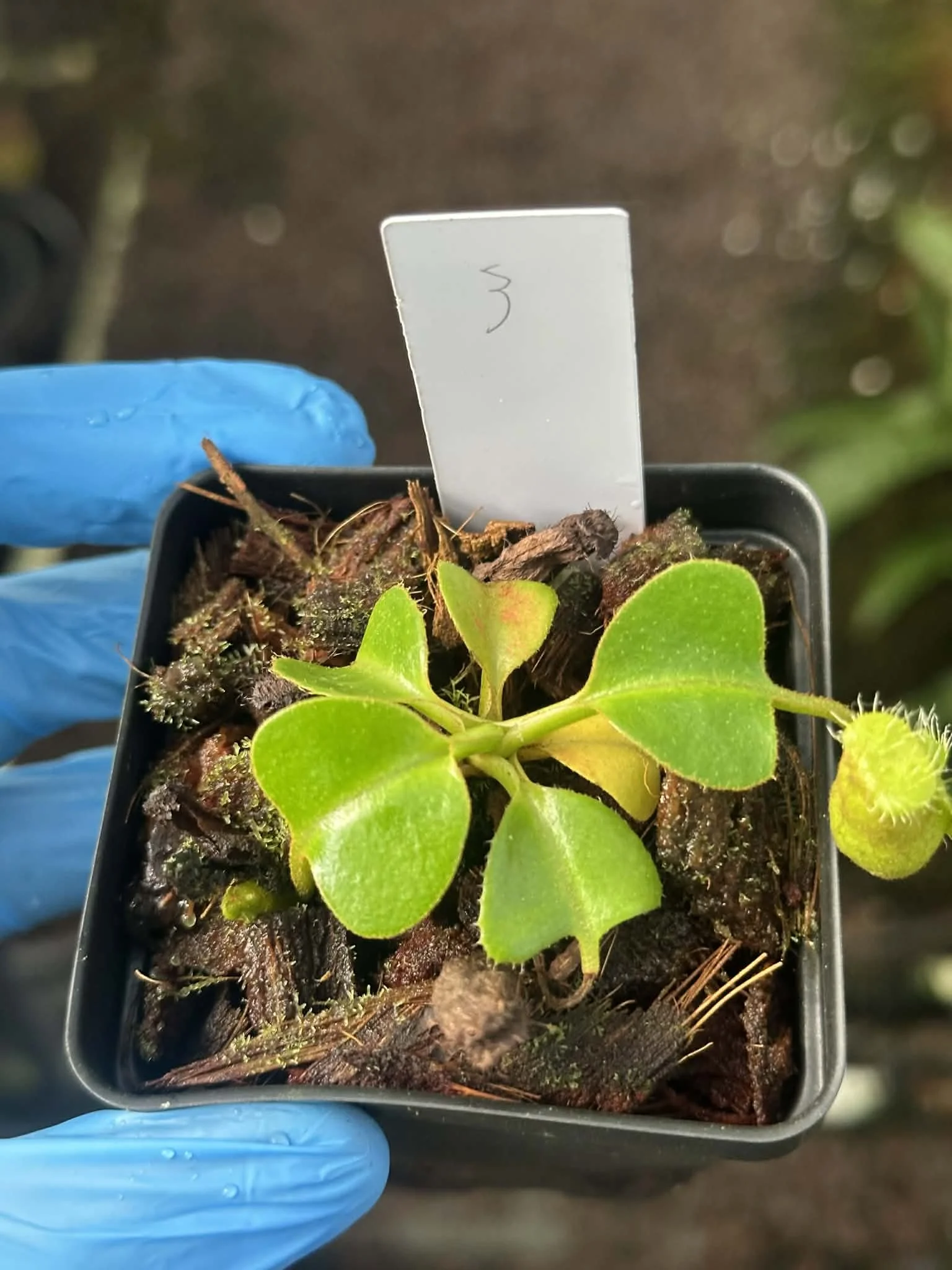 be427e6b-d3b0-437e-93dc-065ad152f63b.jfif