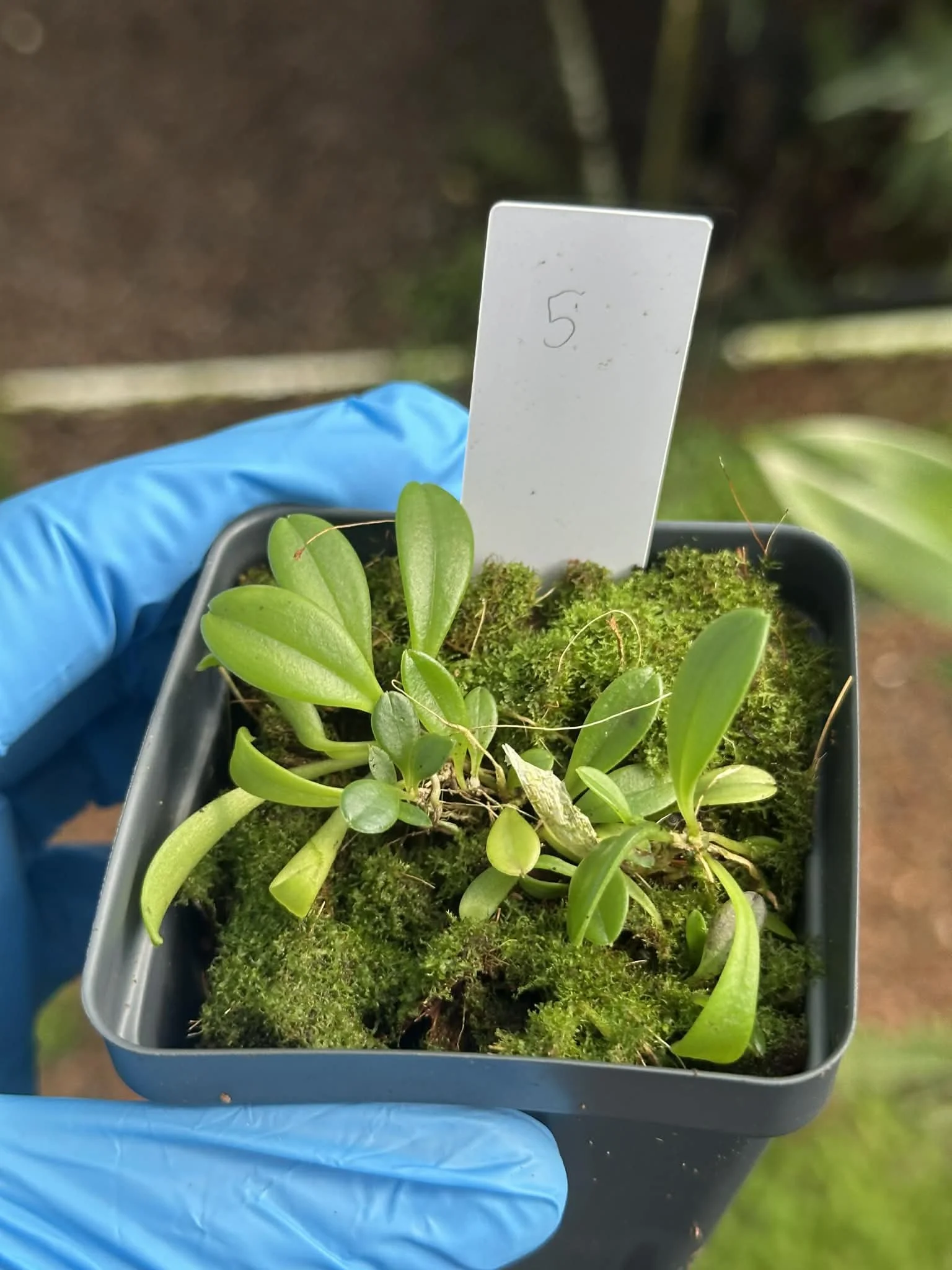 54e3772a-c576-4128-908a-06fdecbea24a.jfif