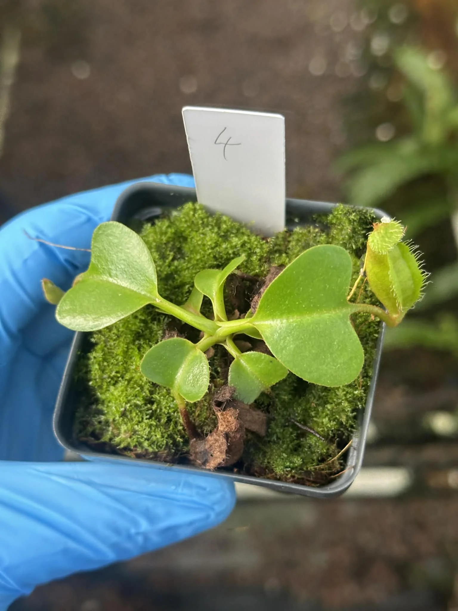 f4b6c2b0-4a56-4af5-a63c-9c0b21912fa6.jfif