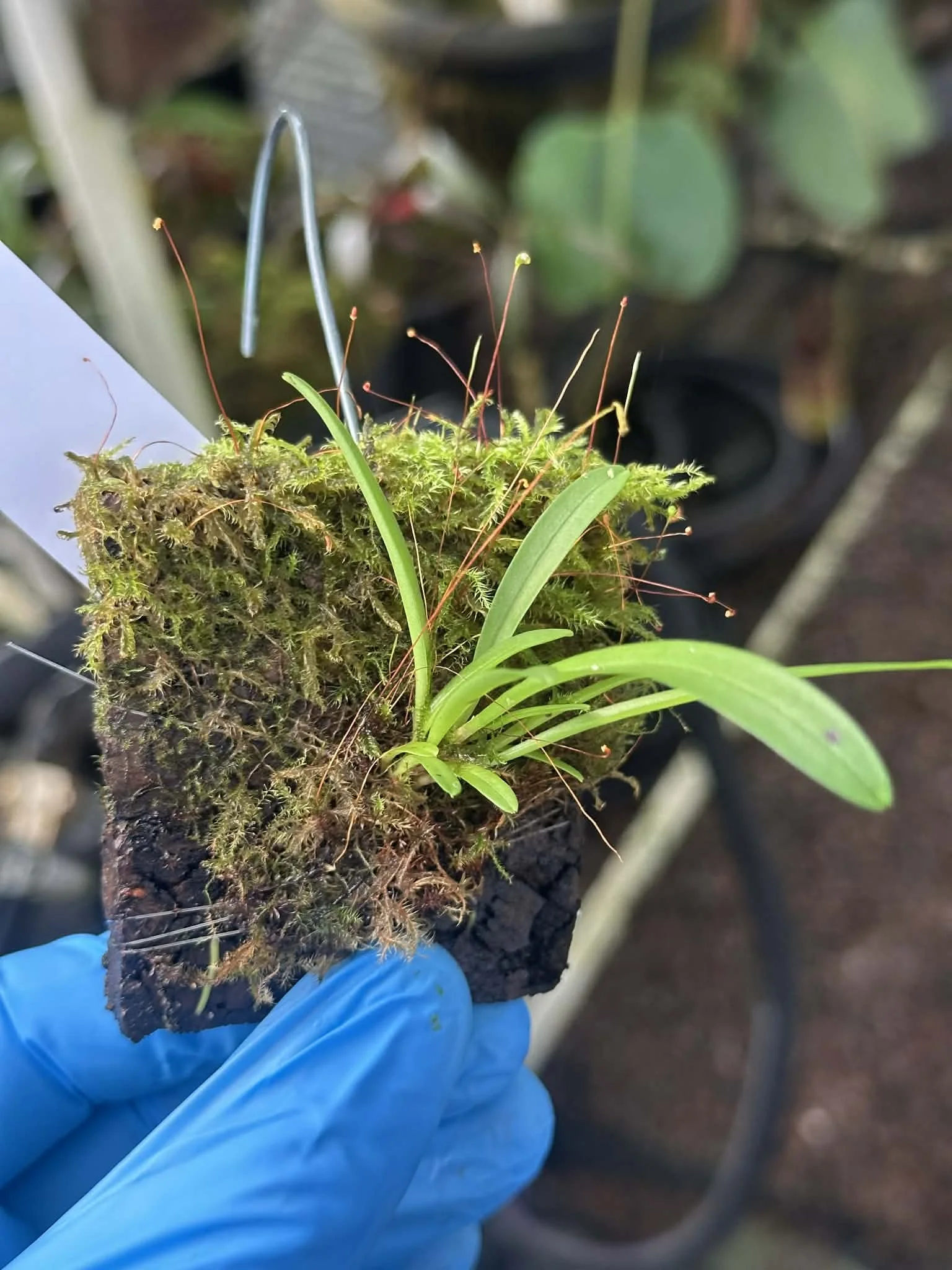 f2bc7f55-3172-45ec-bc46-85118614bc7a.jfif