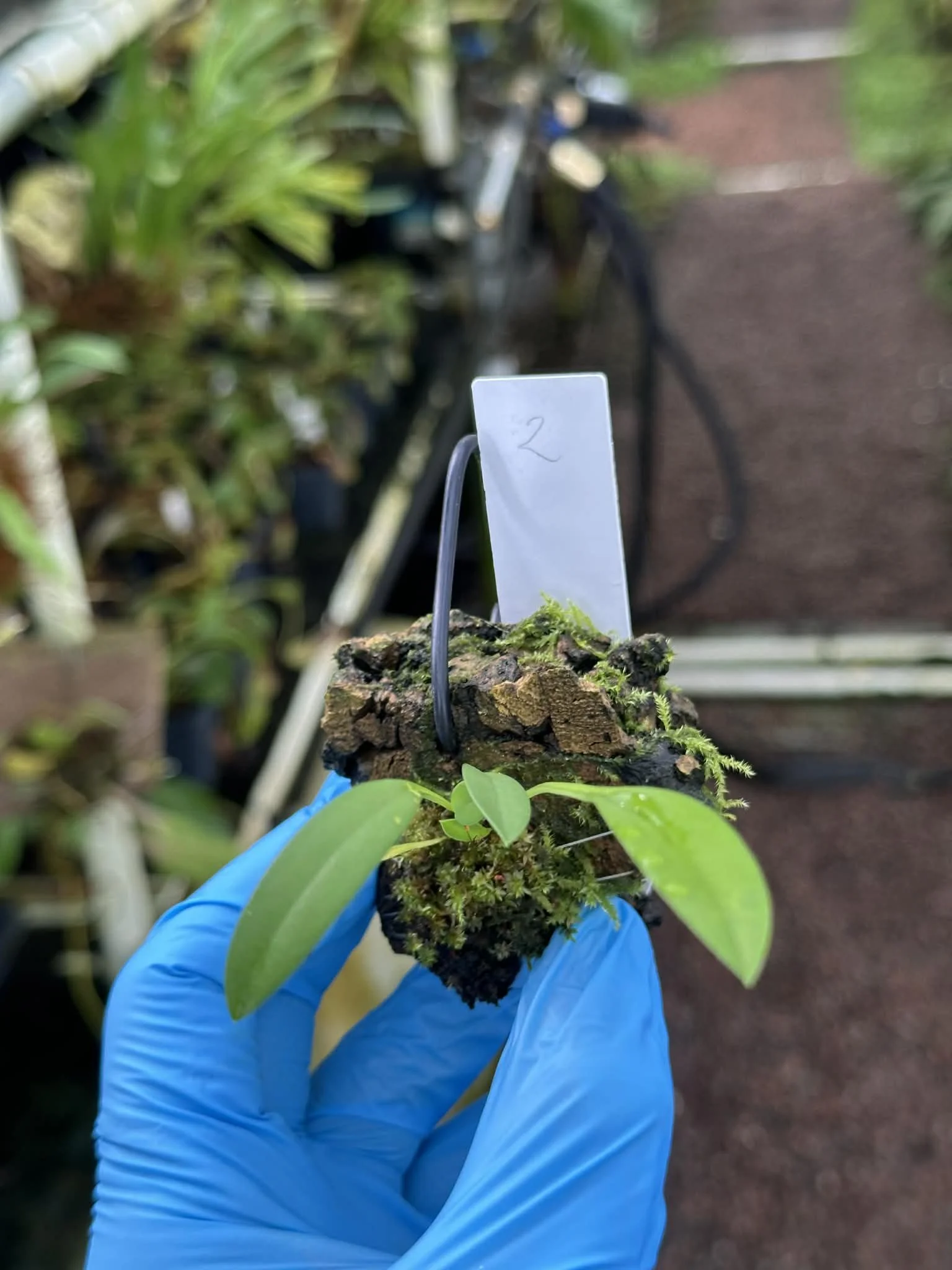 323299b1-4816-4711-9fd0-b0fb77176897.jfif