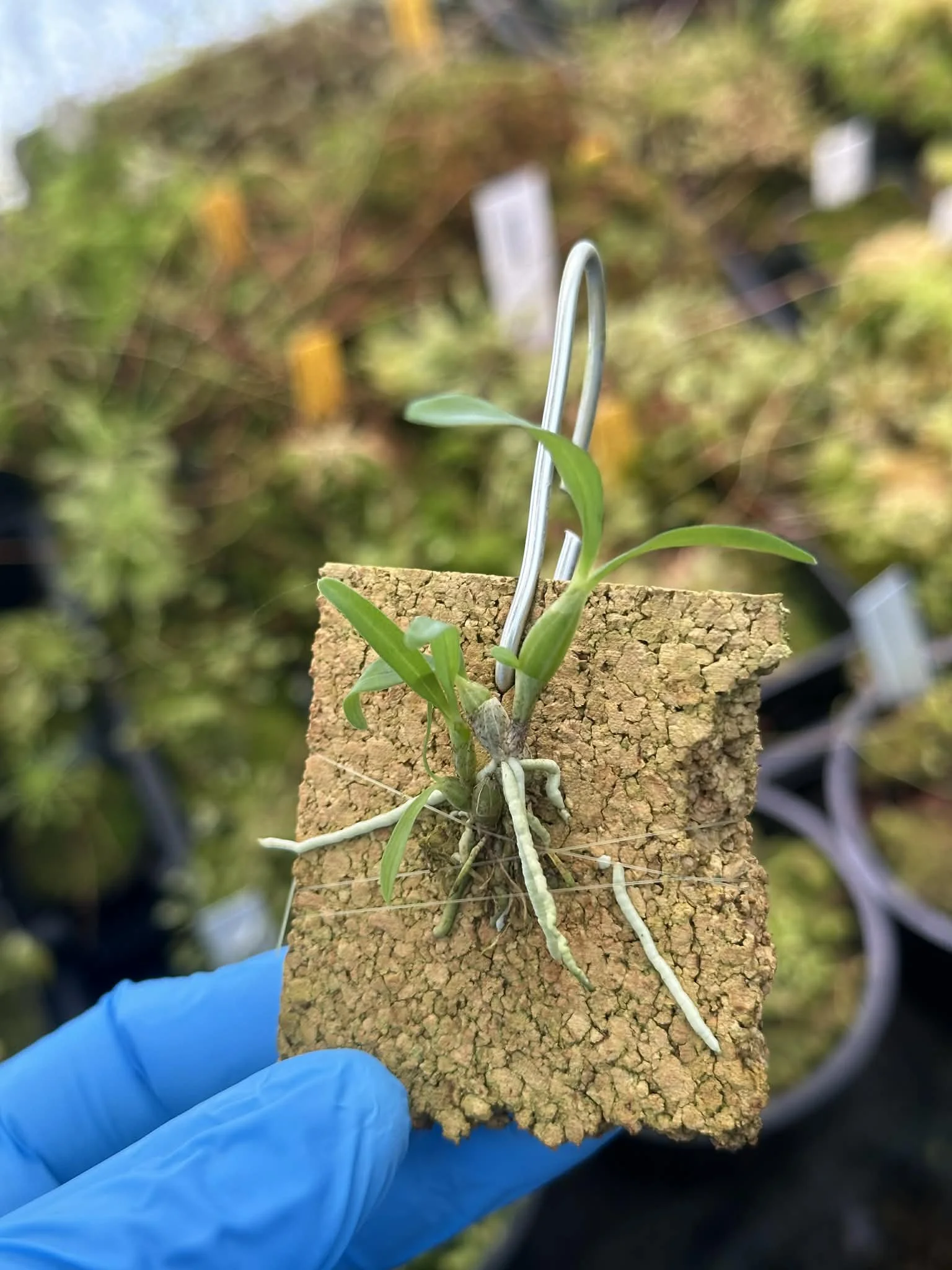 391da34e-e6da-4260-803d-ee9f867e02b3.jfif