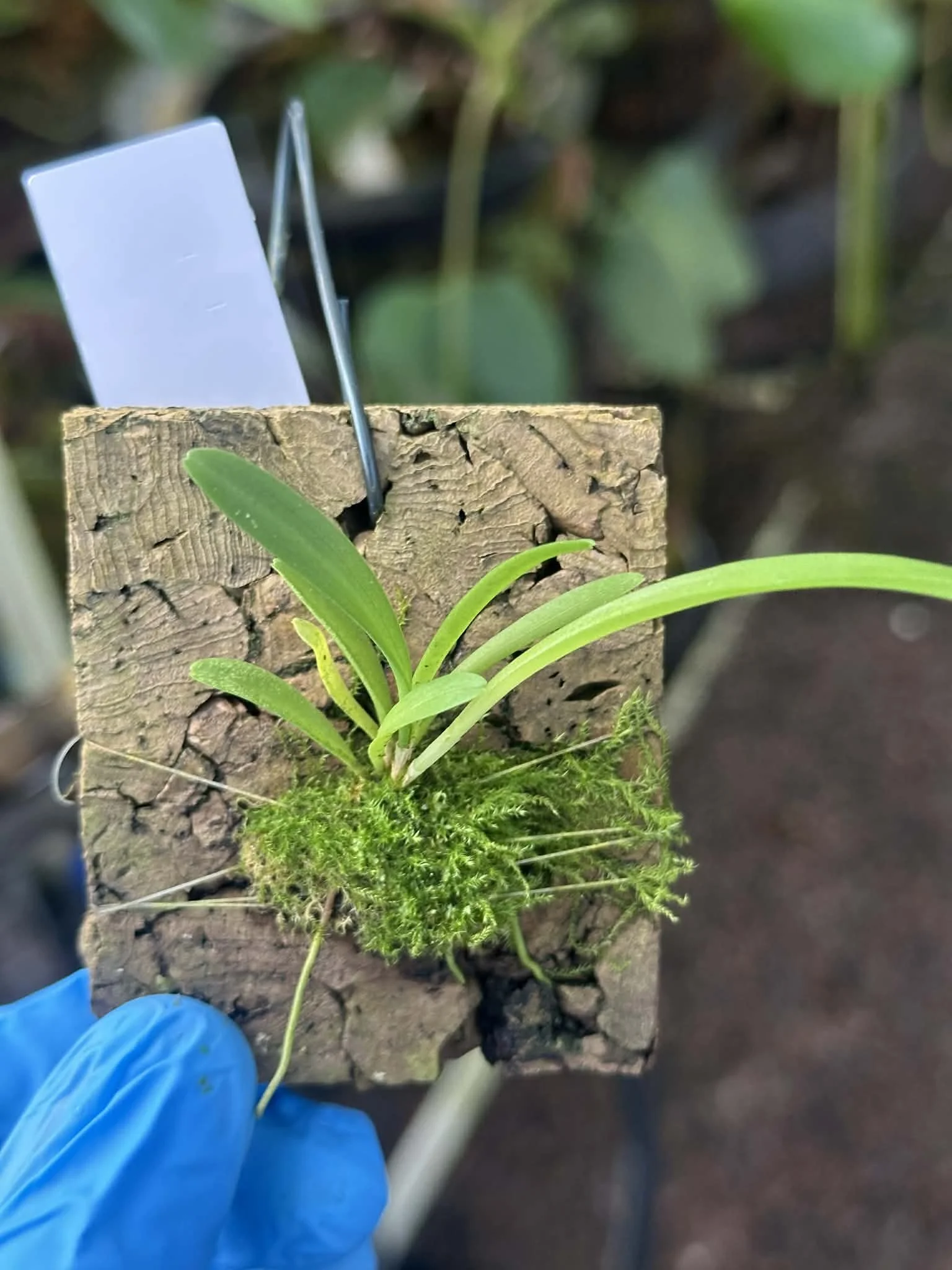 f7b90ef6-0fba-44be-b5c0-7de3500dc969.jfif