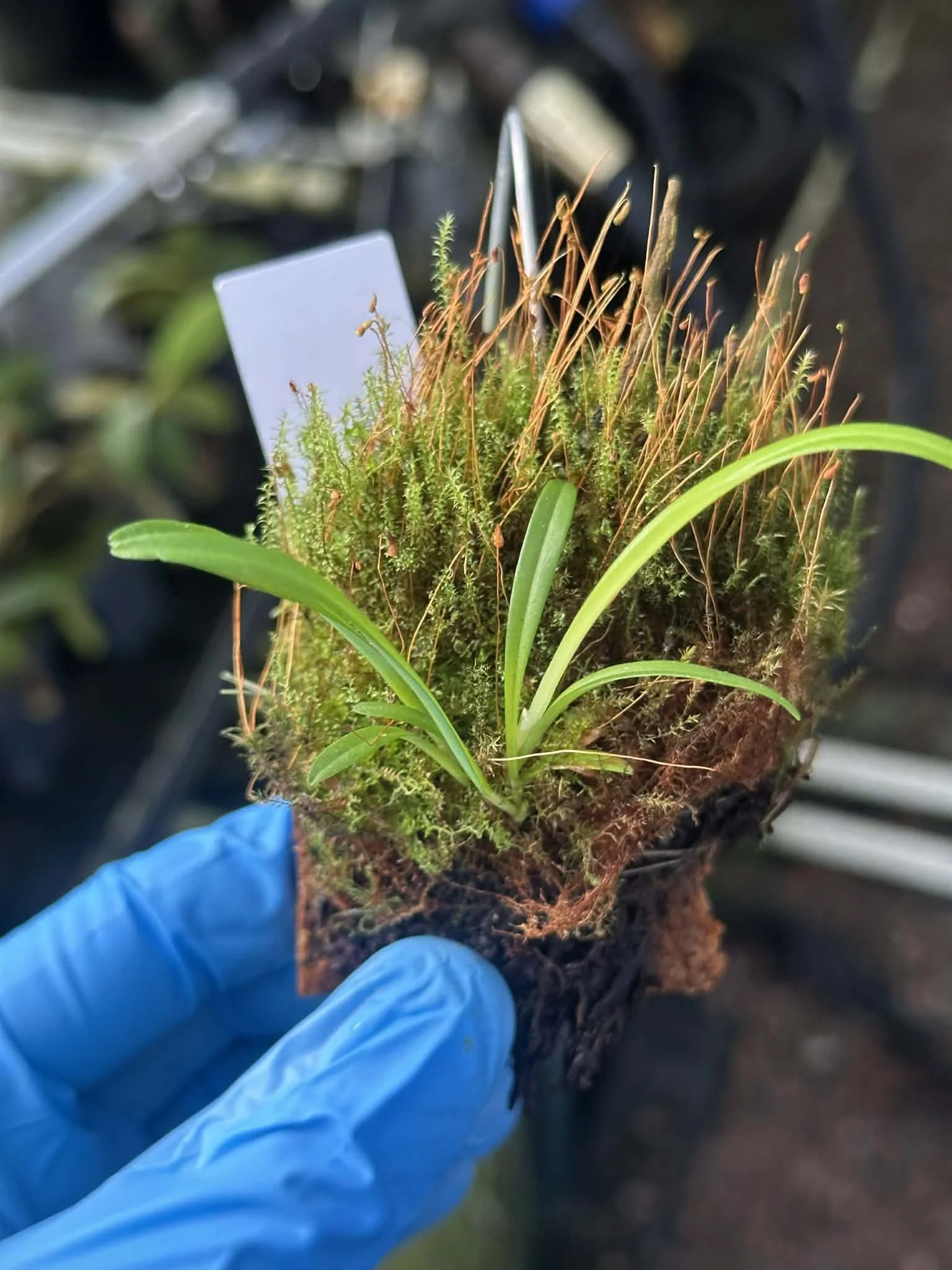 1f56ffd0-0aef-4302-af1d-85a0ee864161.jfif