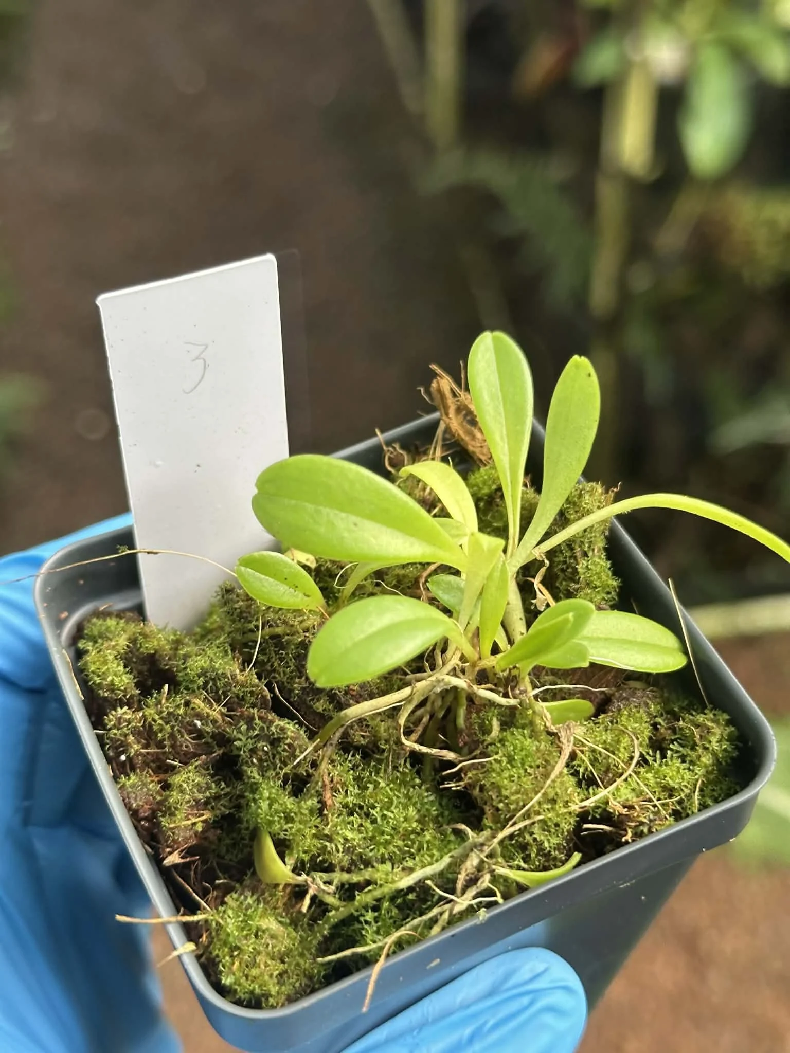 b4337fd2-2c45-4db7-8c7e-f1f7400c8b3b.jfif