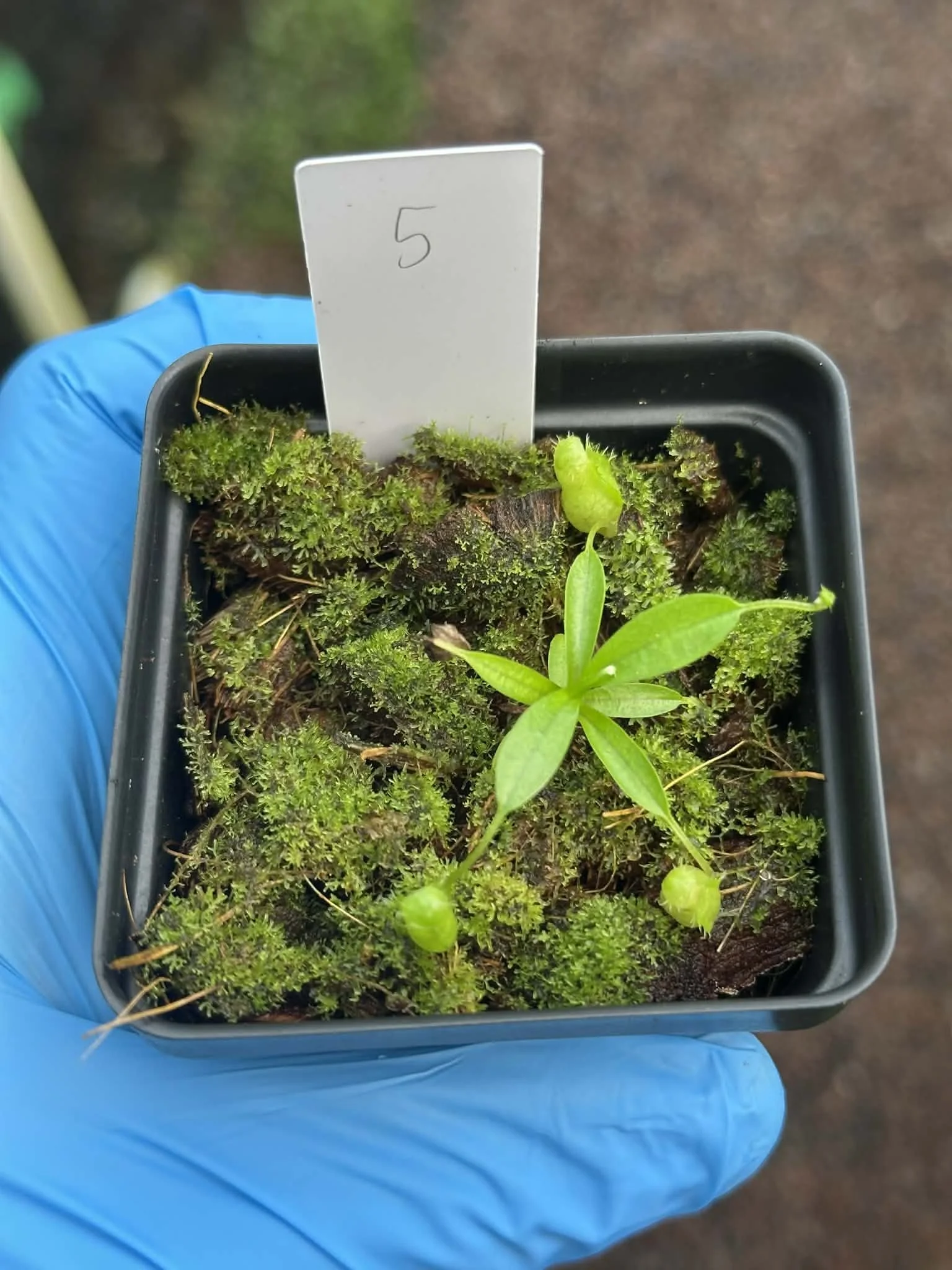 4d3abc86-2f32-4572-b6e8-85089f01acd8.jfif