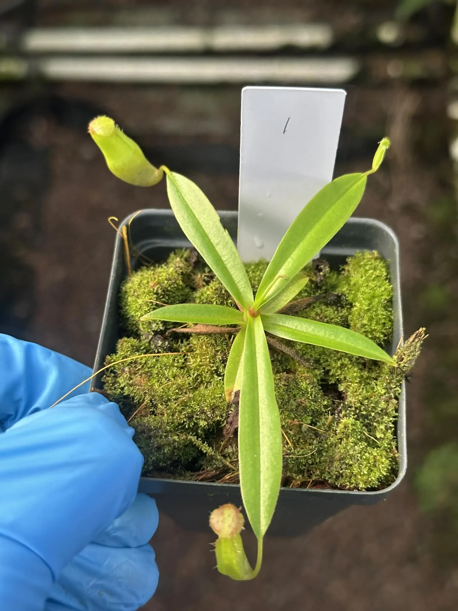 9d7b20b6-396a-446a-8be3-535c56404079.jfif