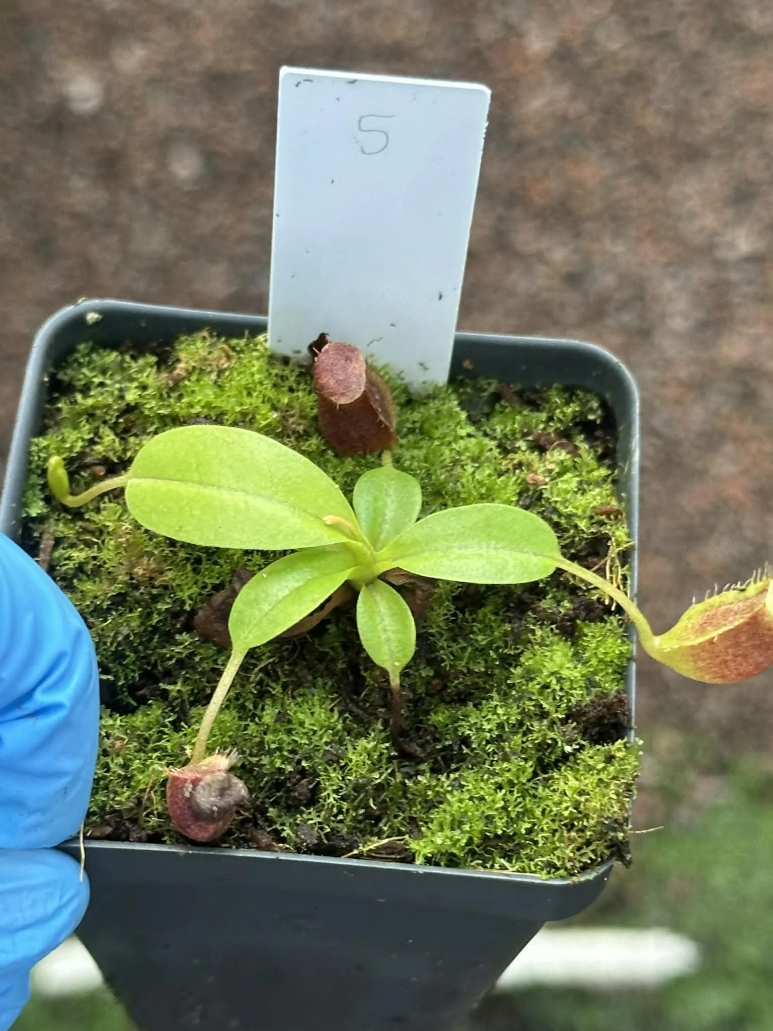 b3f36f40-44b2-4ecf-a021-9724bd8204d9.jfif