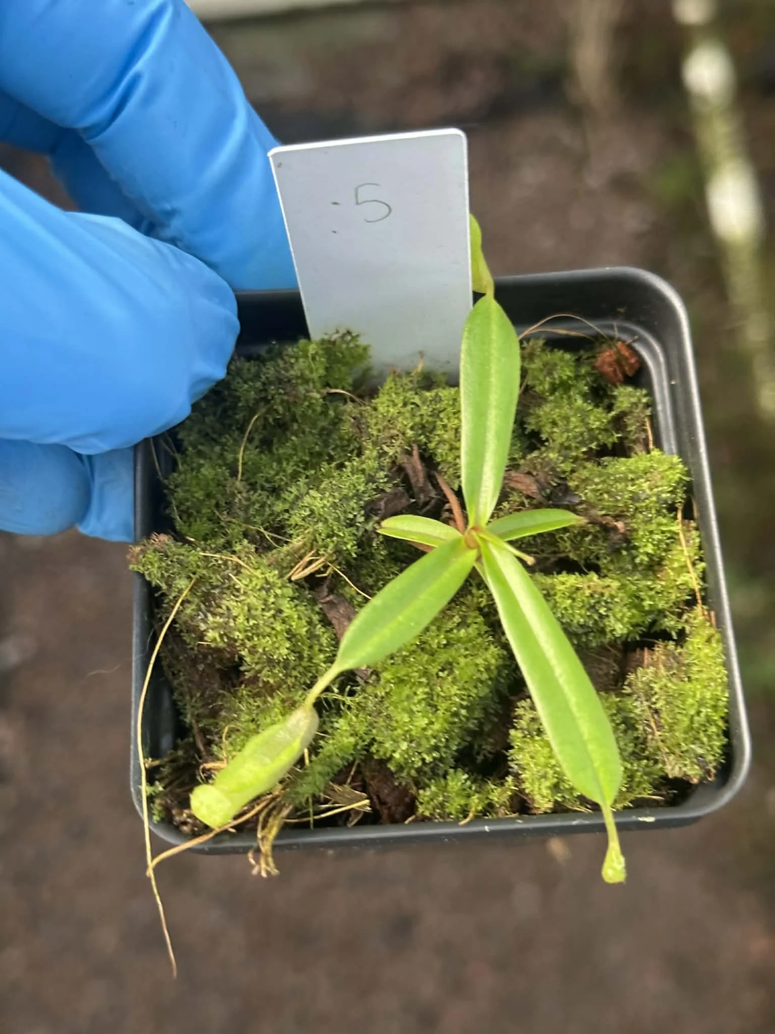 b052b3d7-ce97-4180-88ef-c80b363237eb.jfif