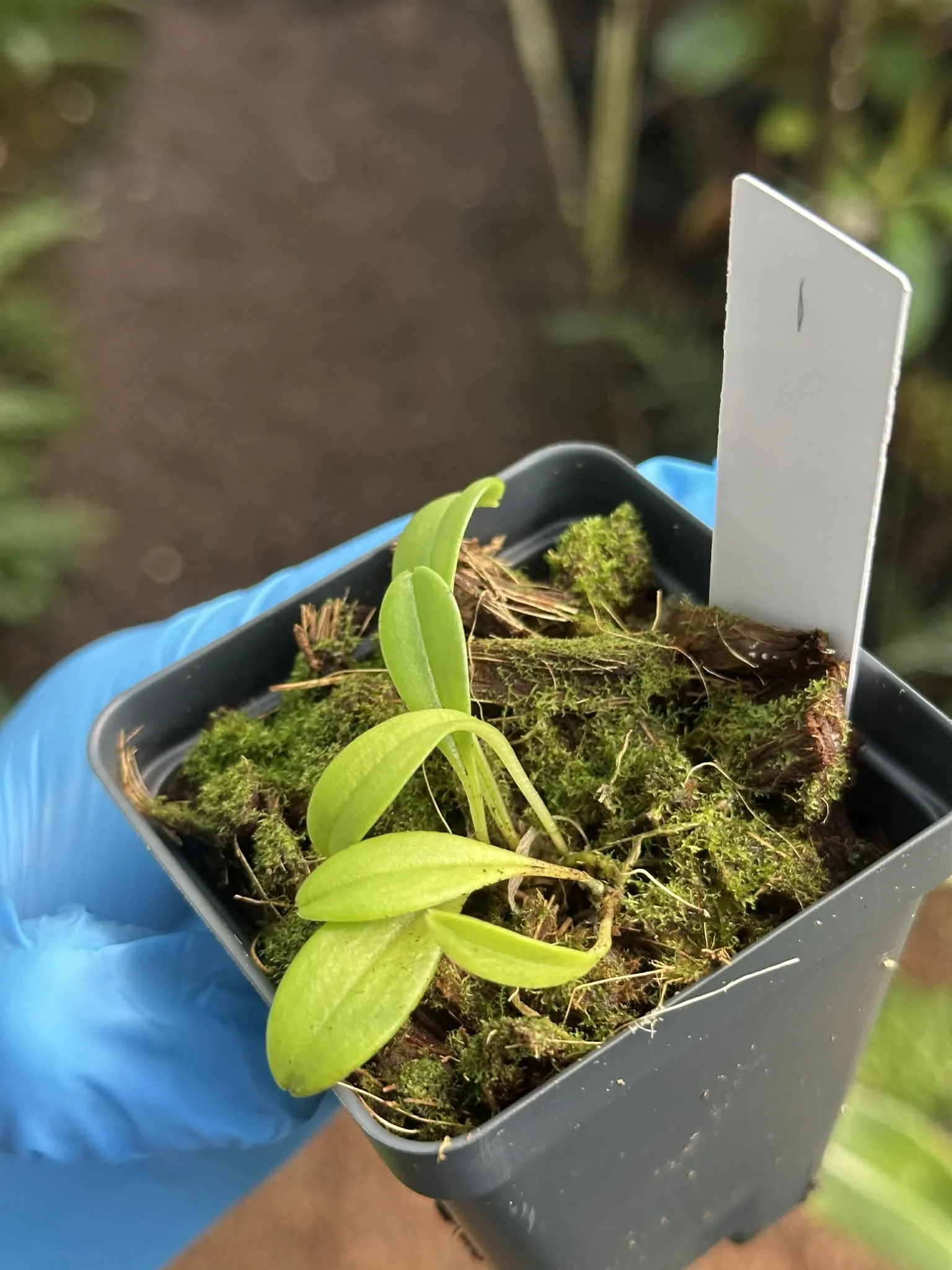 2786c644-7d13-4695-a95c-941c4788ceef.jfif