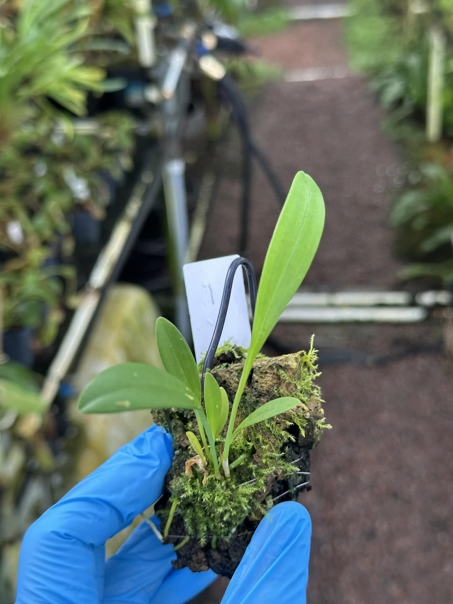 6cb89442-7b99-470d-82b5-a9653ffd132c.jfif