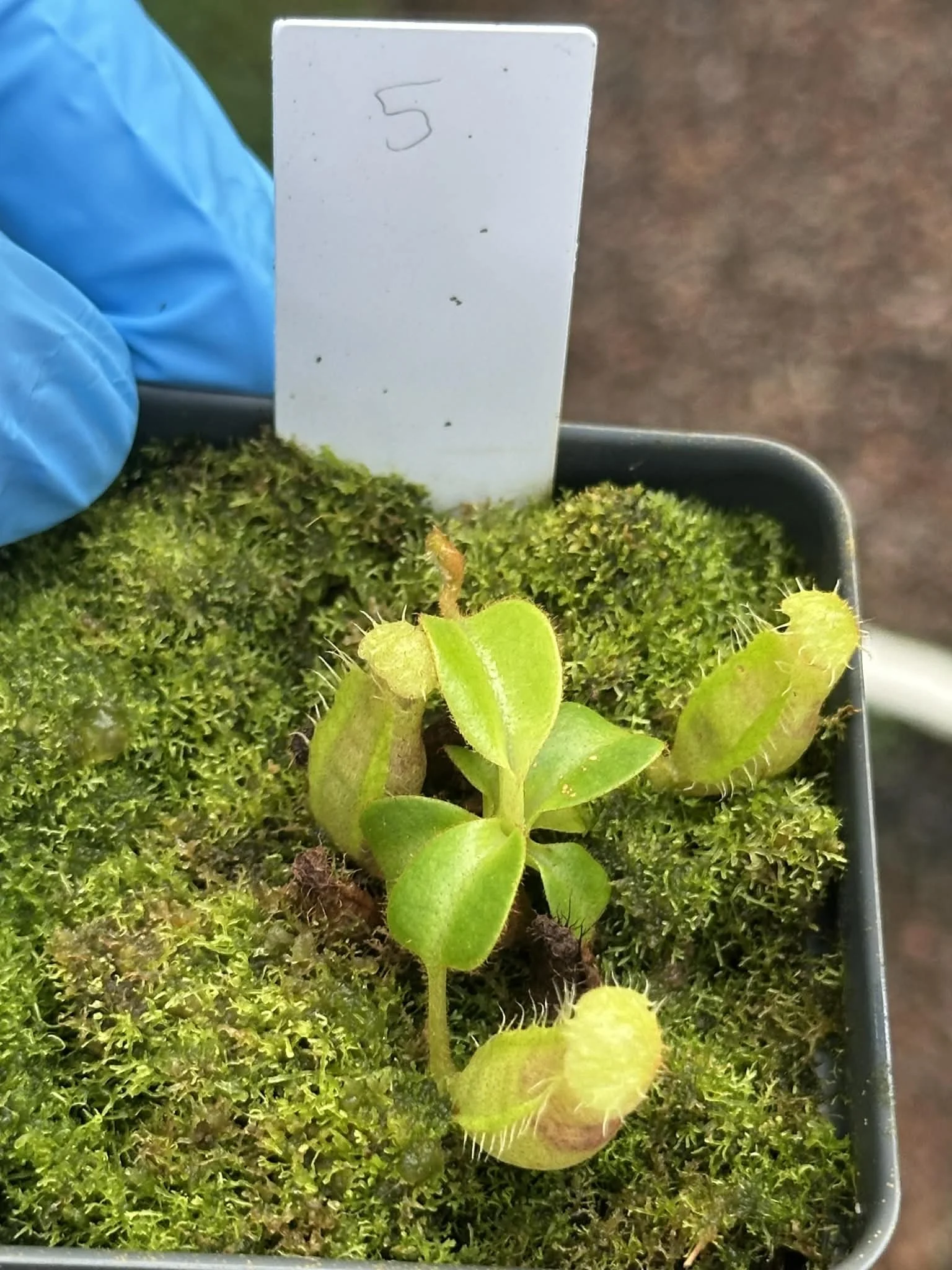 bf185ac1-53de-40a9-a328-8012bf04f36f.jfif