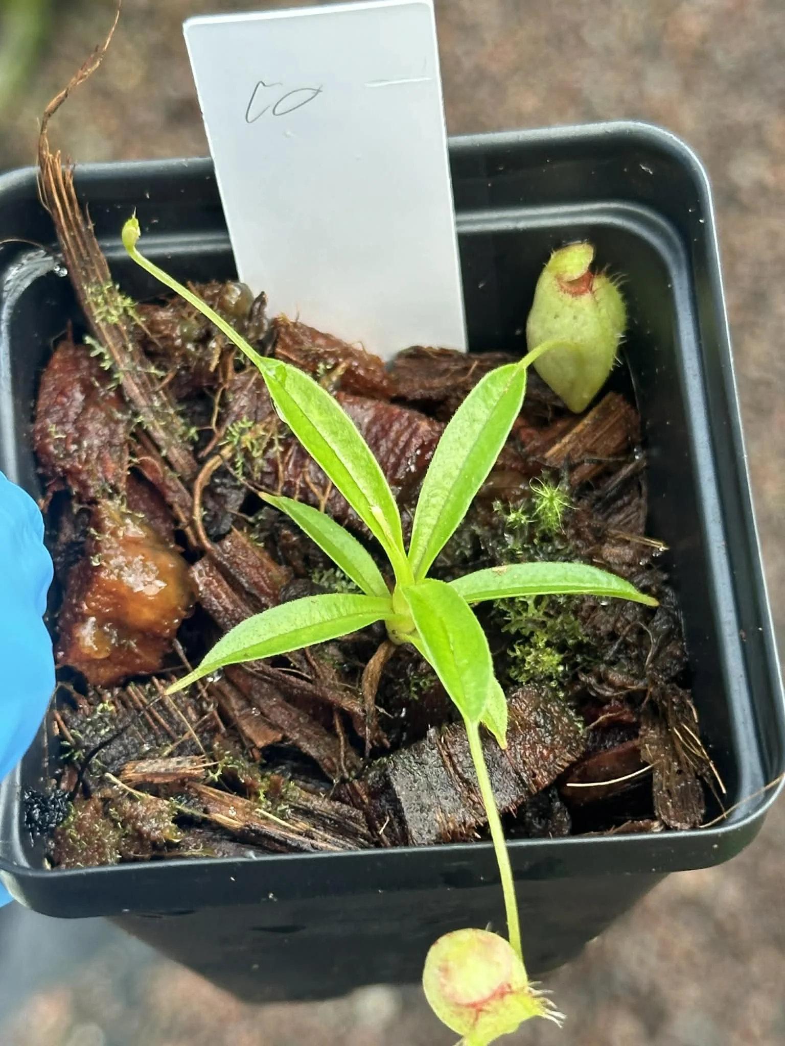 00b82123-3aec-4f83-991b-d71db06d0ac3.jfif