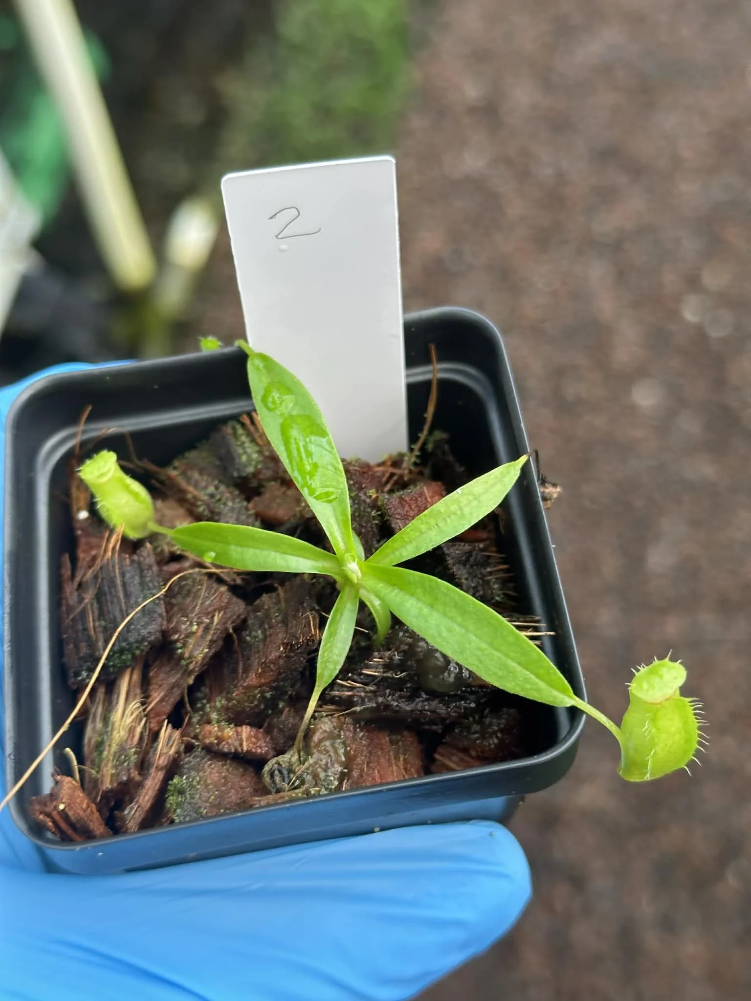 04672100-5675-499a-a91d-db8ab2796c50.jfif