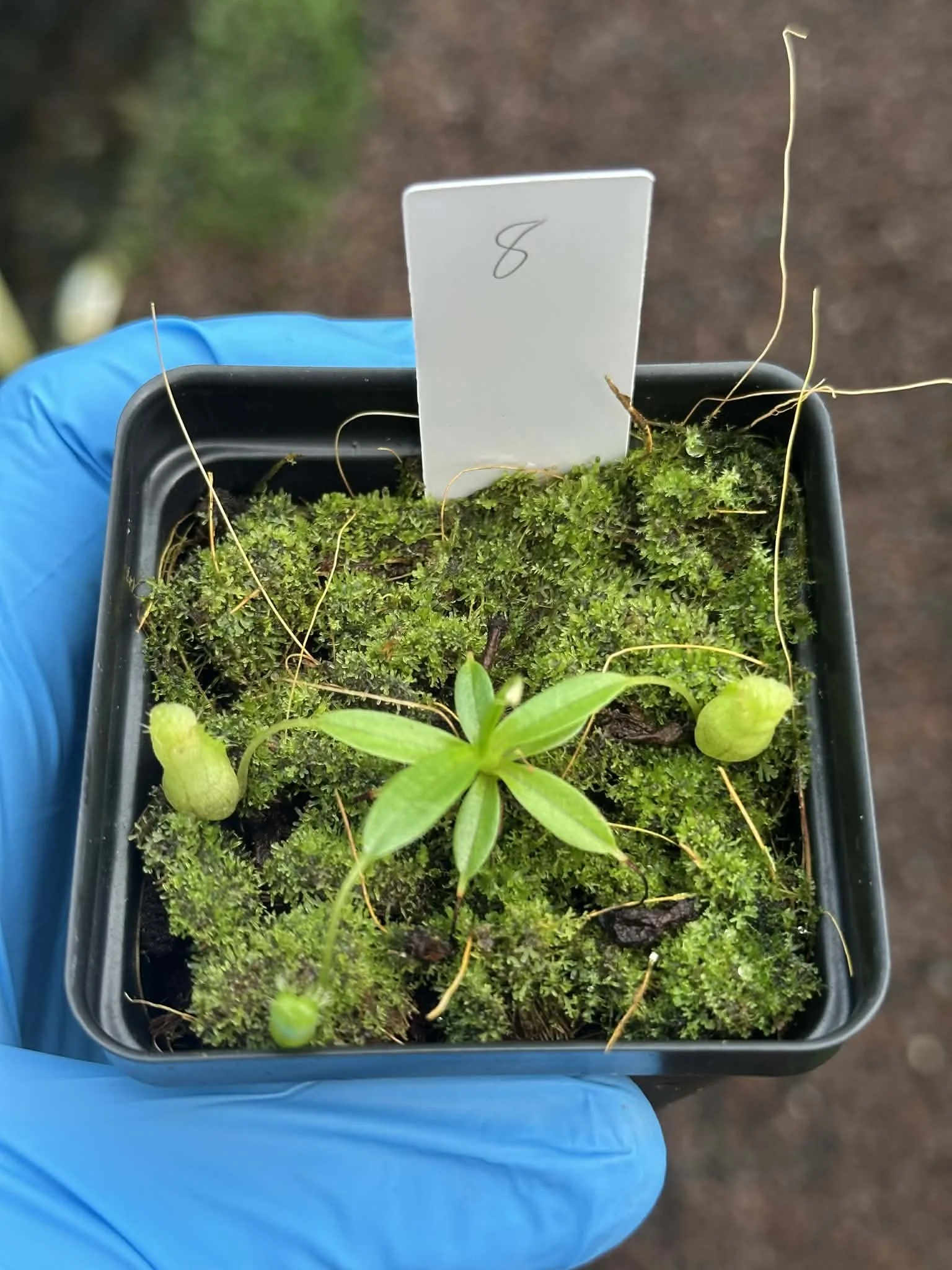 a7a22cca-9072-4c0e-b59a-1e988c44ce43.jfif