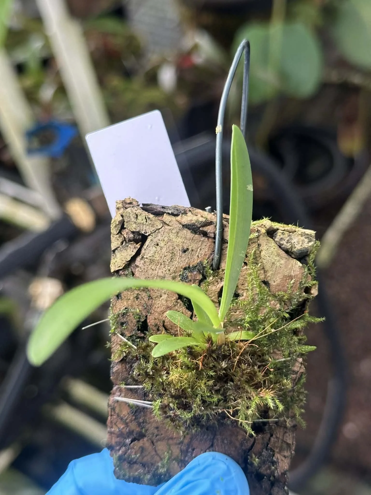 a4c3c920-6c7c-439c-a8a5-61d601ead893.jfif