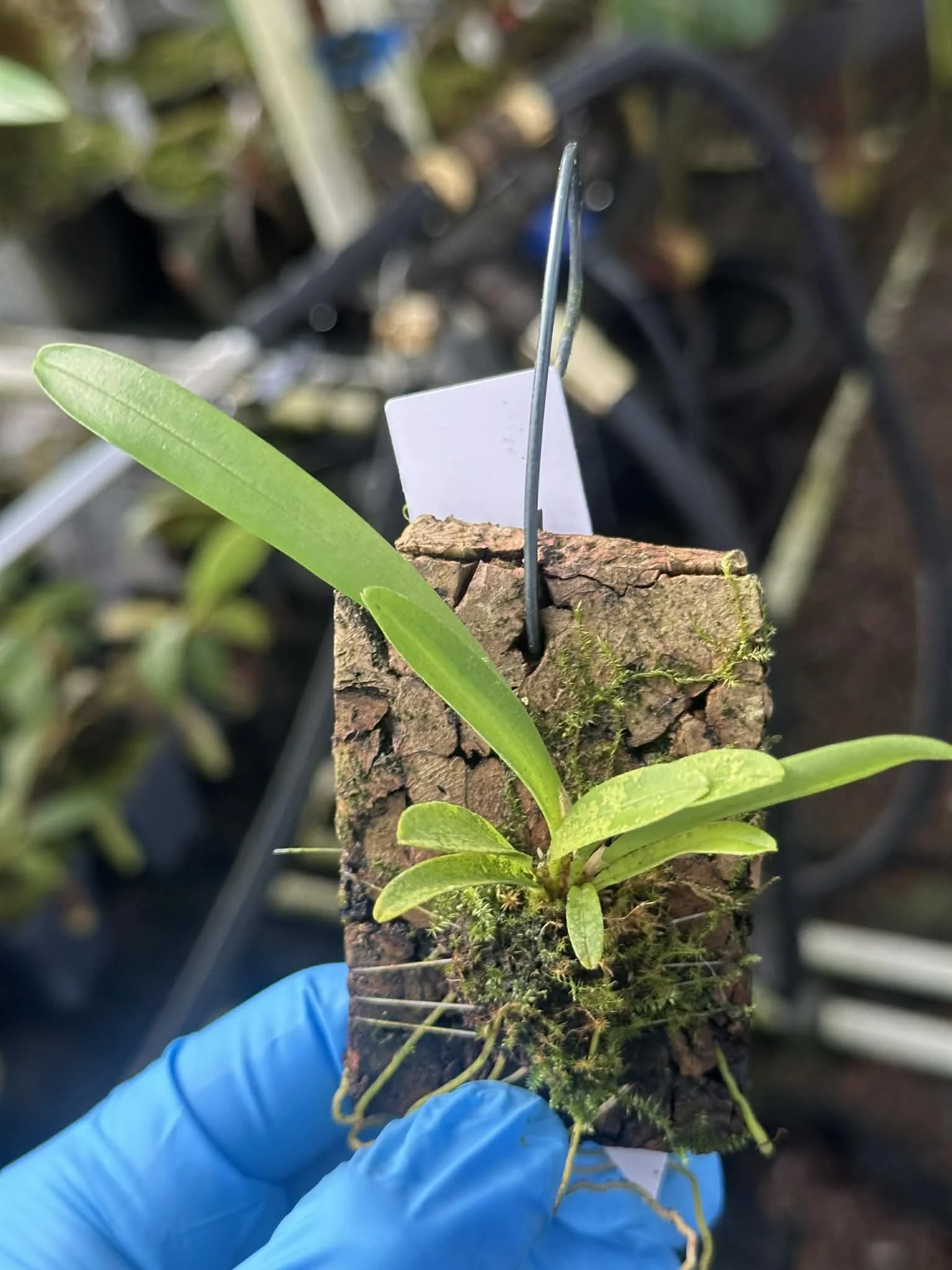 93aa6562-2d84-4c90-8774-322bacdcd9c4.jfif