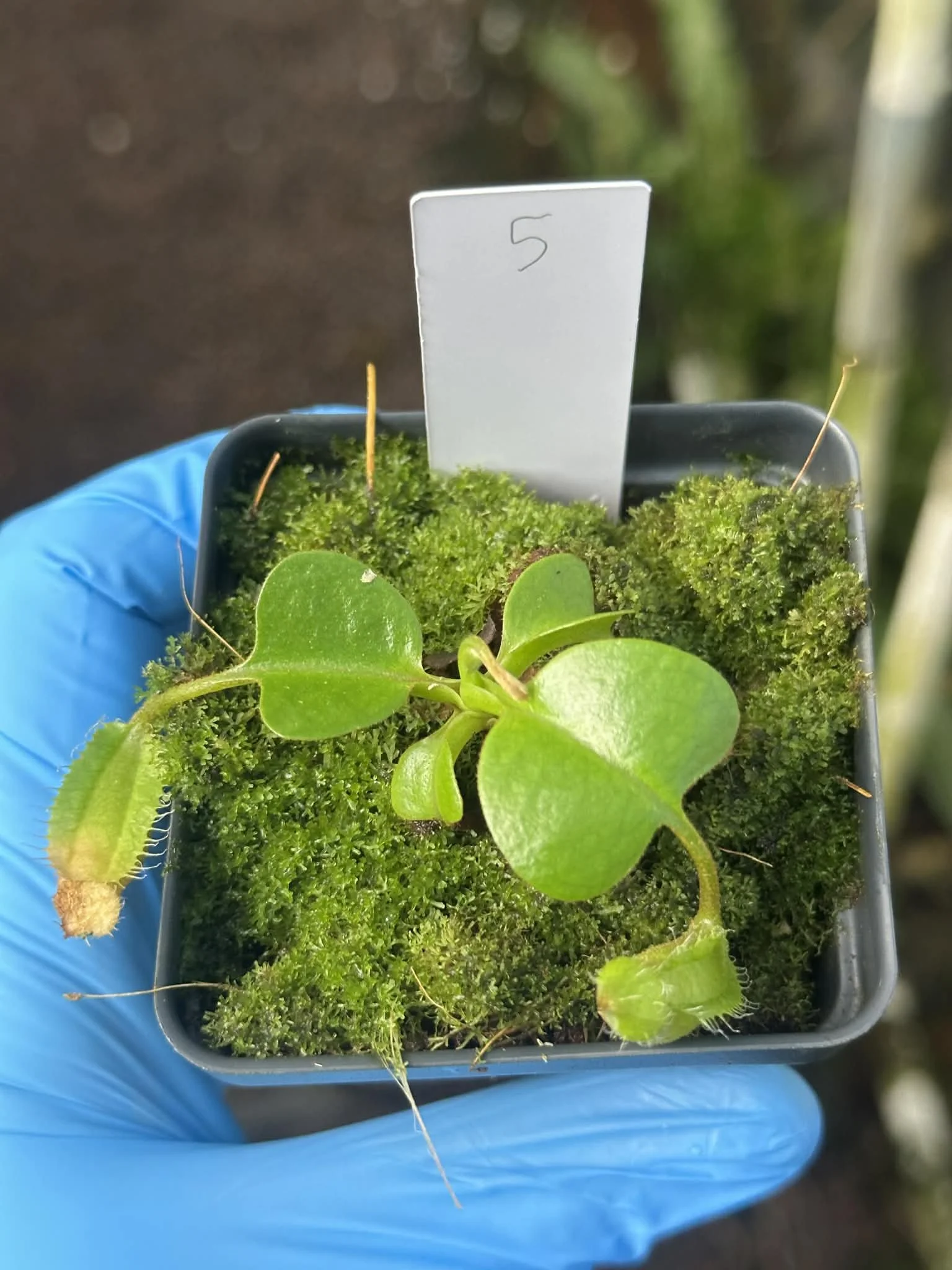 847717cb-a607-4a6d-958b-973ac4c4355c.jfif