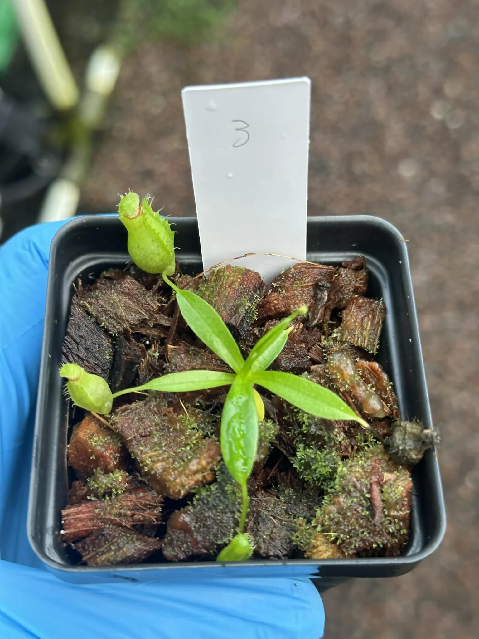 7b3de881-53fe-44eb-84a1-21e786ca9d87.jfif