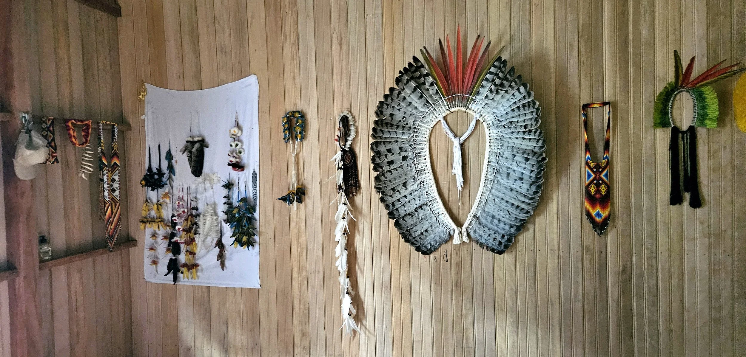 Traditional head and neck pieces on wall of Yawanawa village chief .....