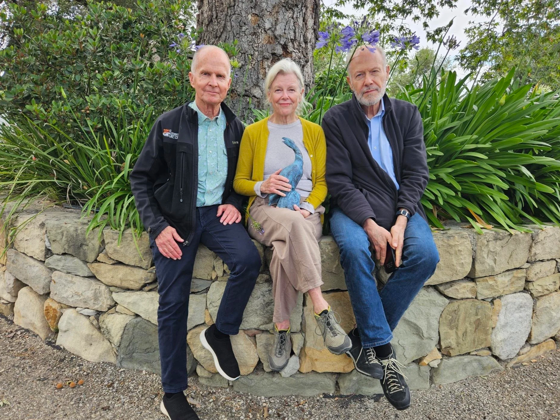 The Order of the California Condor