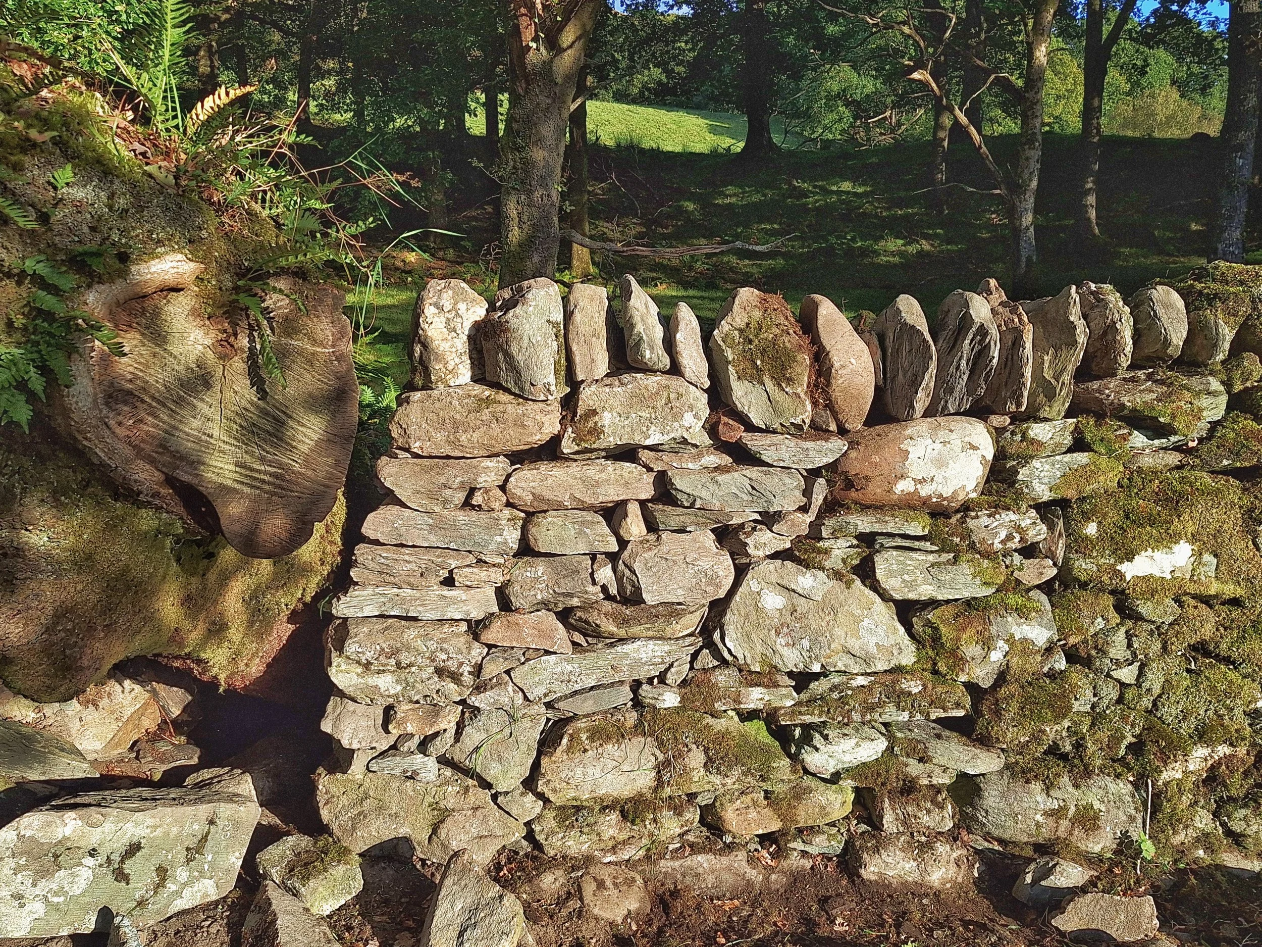 drystone-wall-repair-rebuild-stirling-cheekend.jpg
