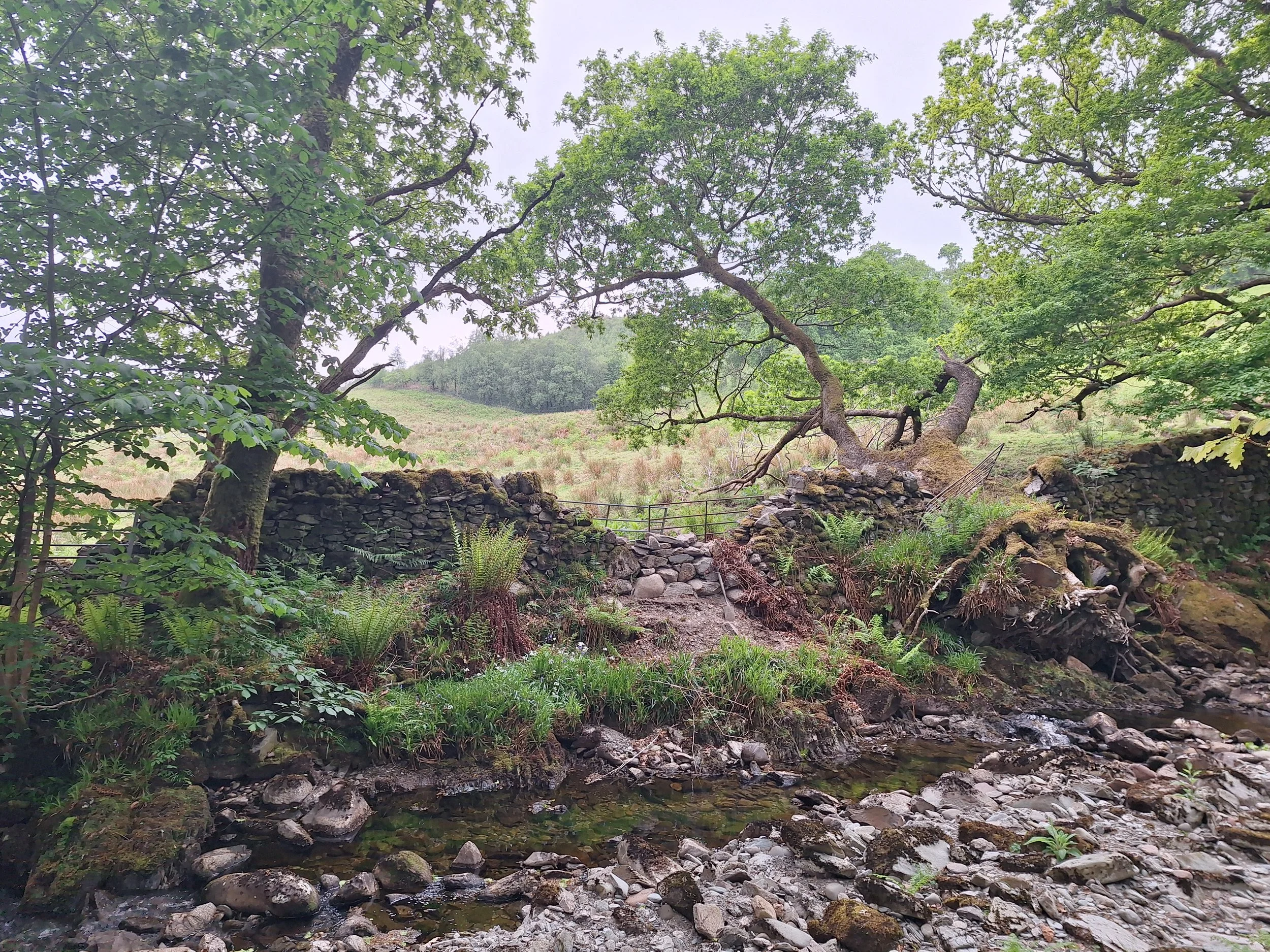 drystone-wall-repair-rebuild-stirling-burn.jpg
