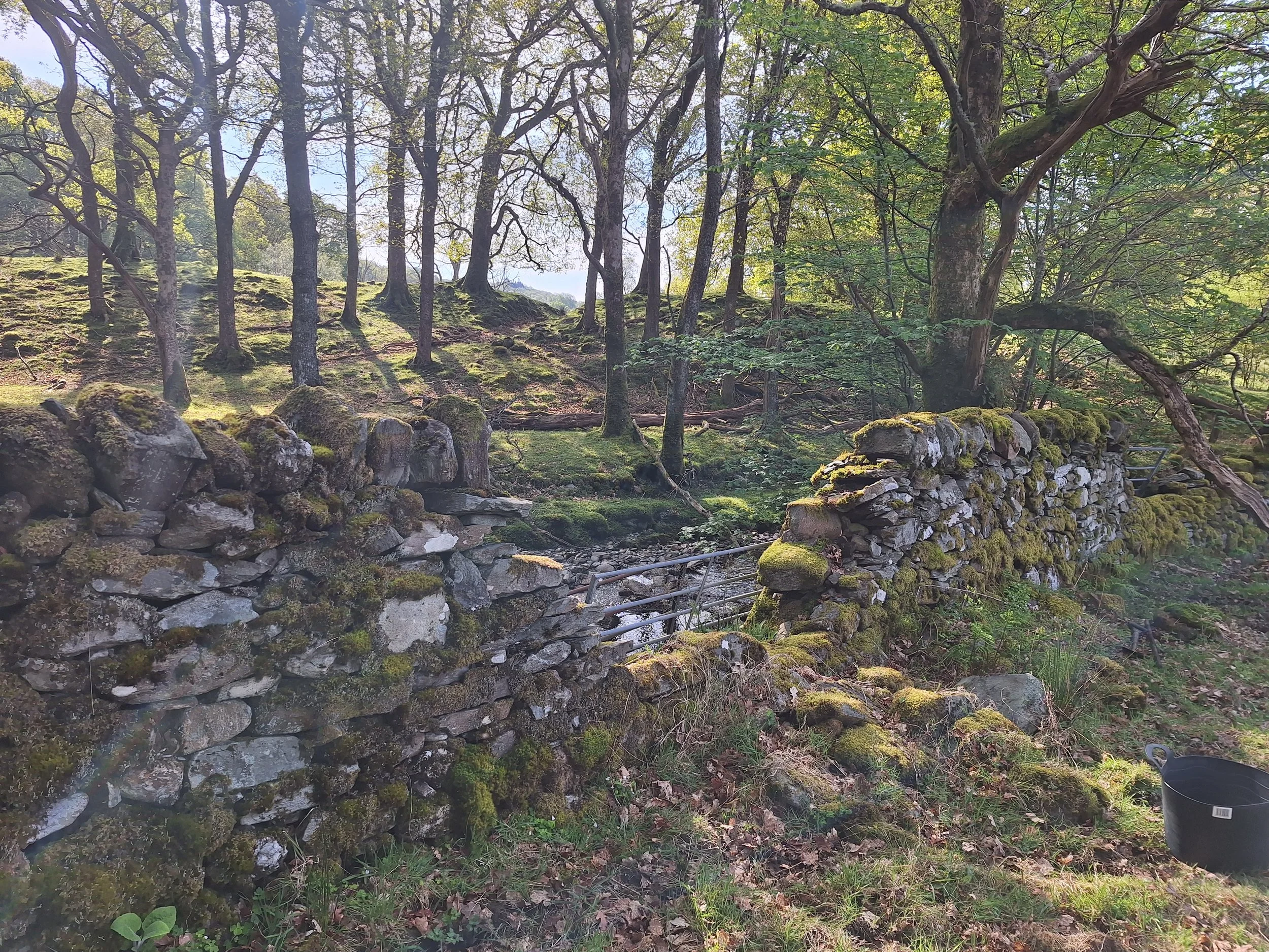 drystone-wall-repair-rebuild-stirling-before.jpg