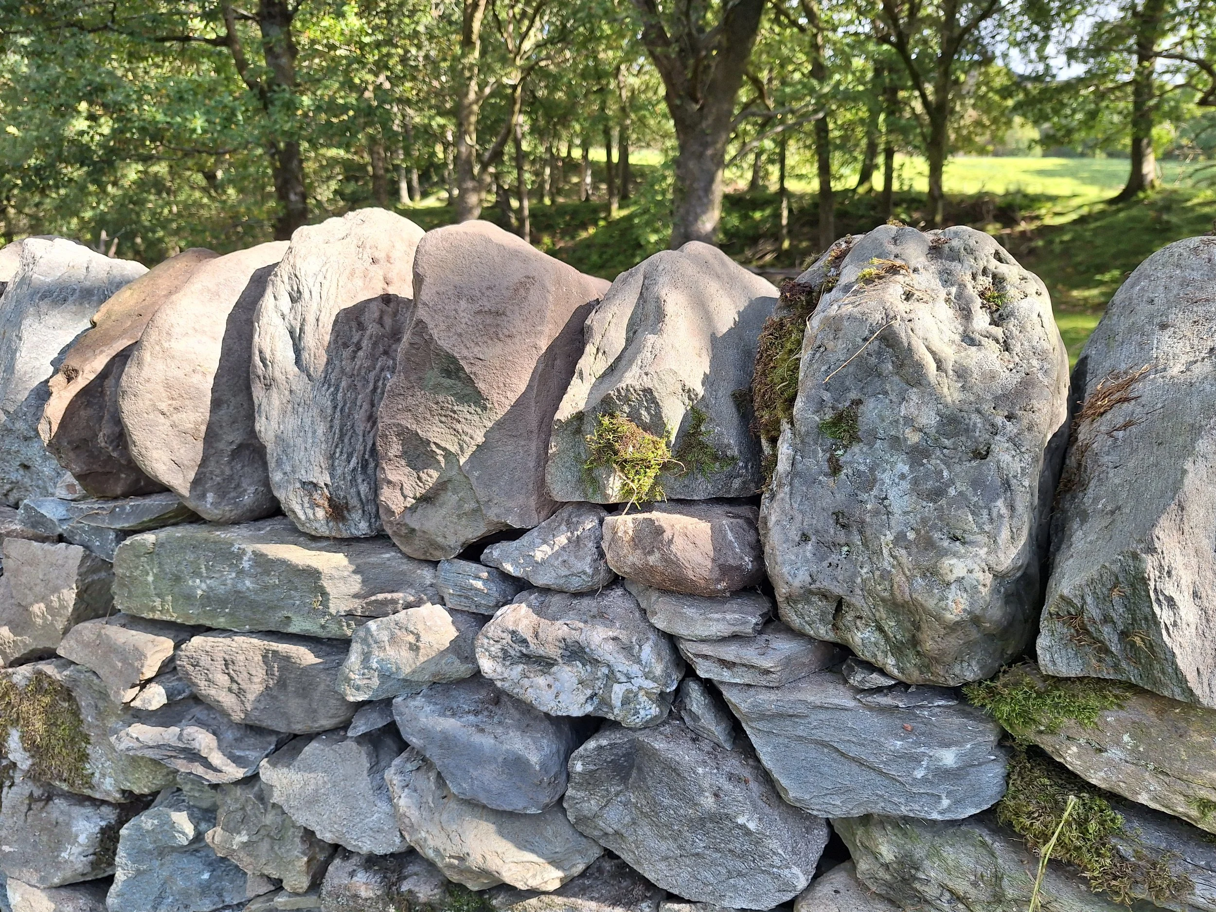 drystone-wall-repair-rebuild-stirling-copes-tops.jpg