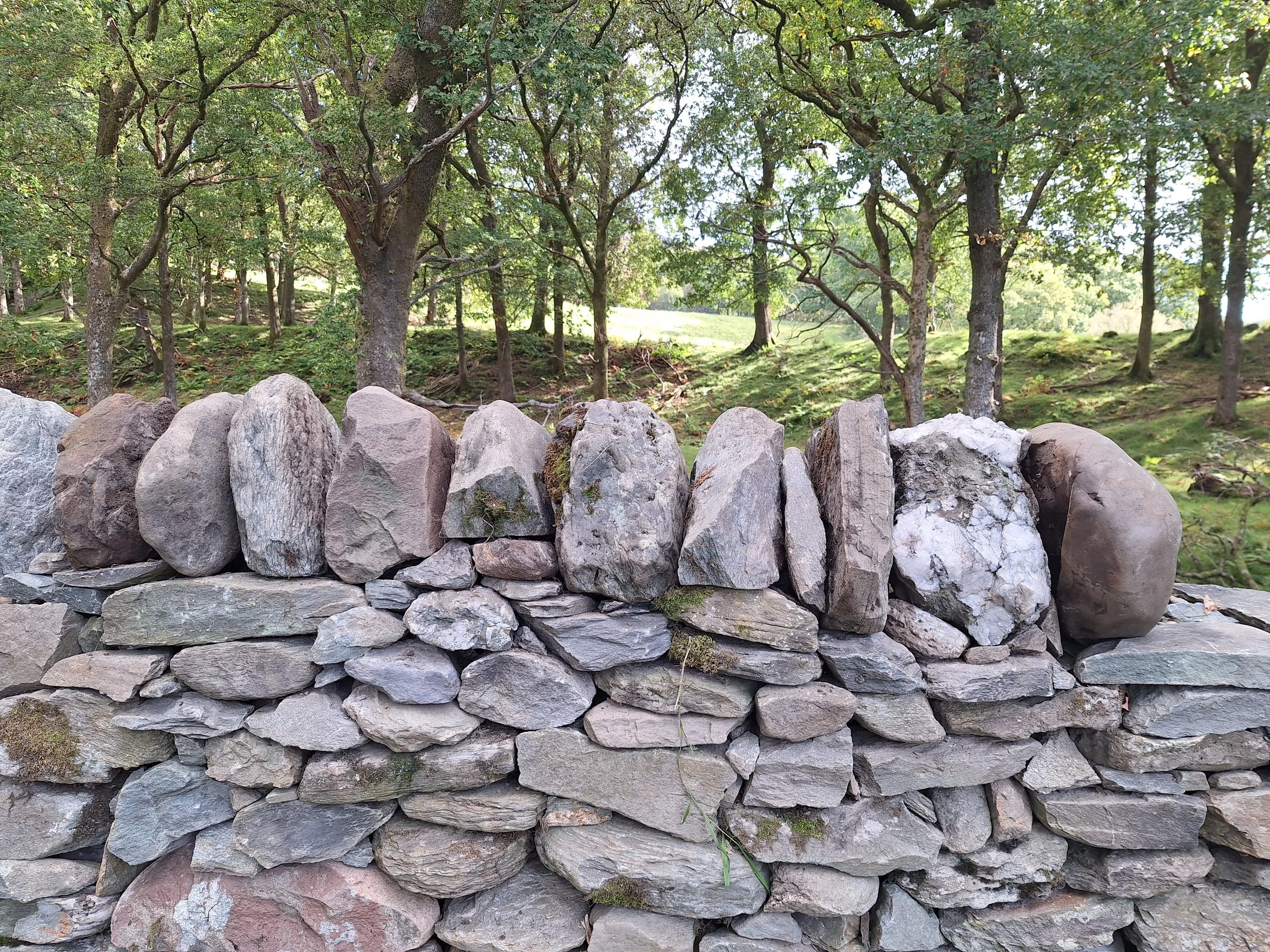 drystone-wall-repair-rebuild-stirling-copes-2.jpg