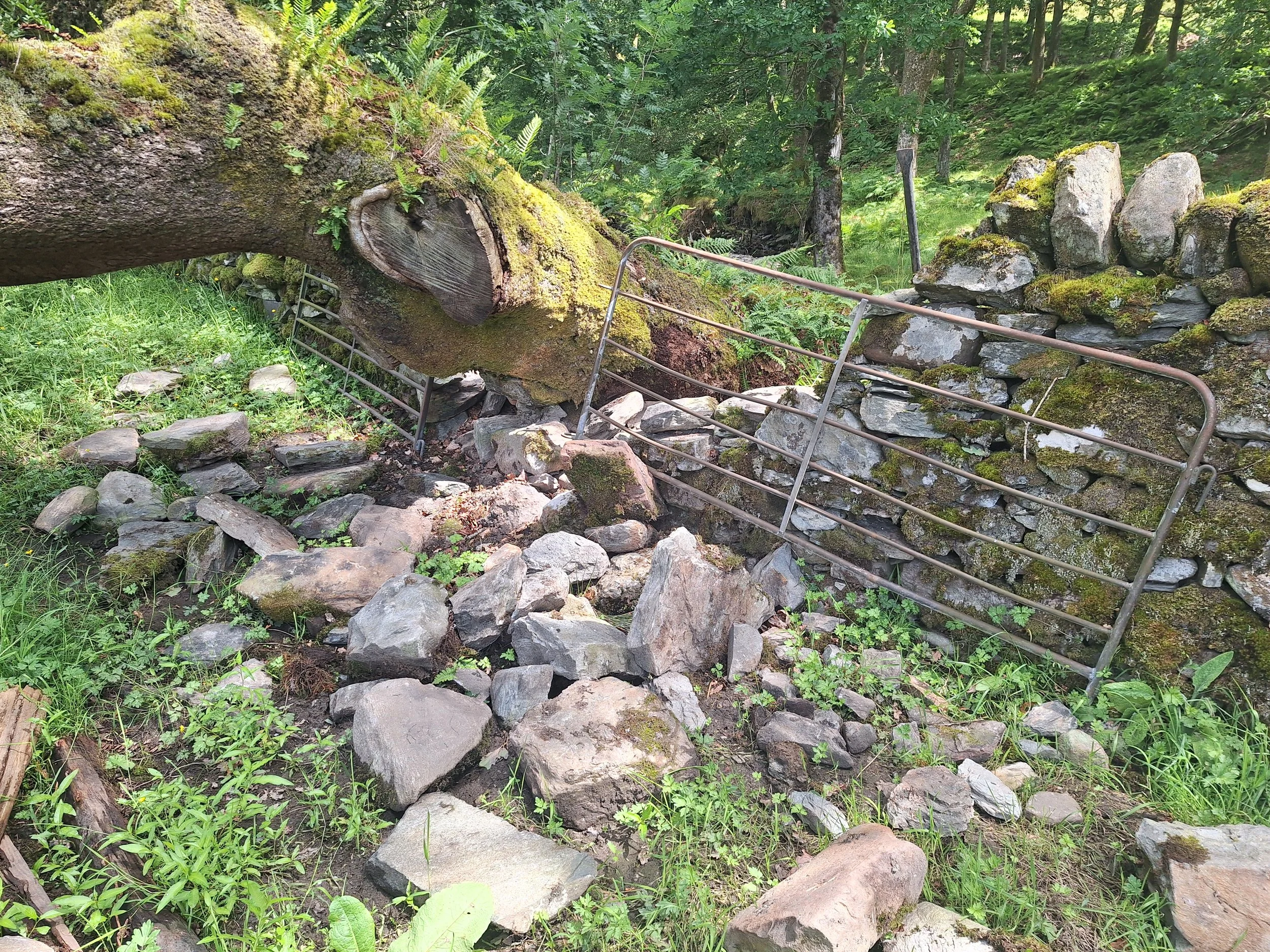drystone-wall-repair-rebuild-stirling-cheekend-before.jpg